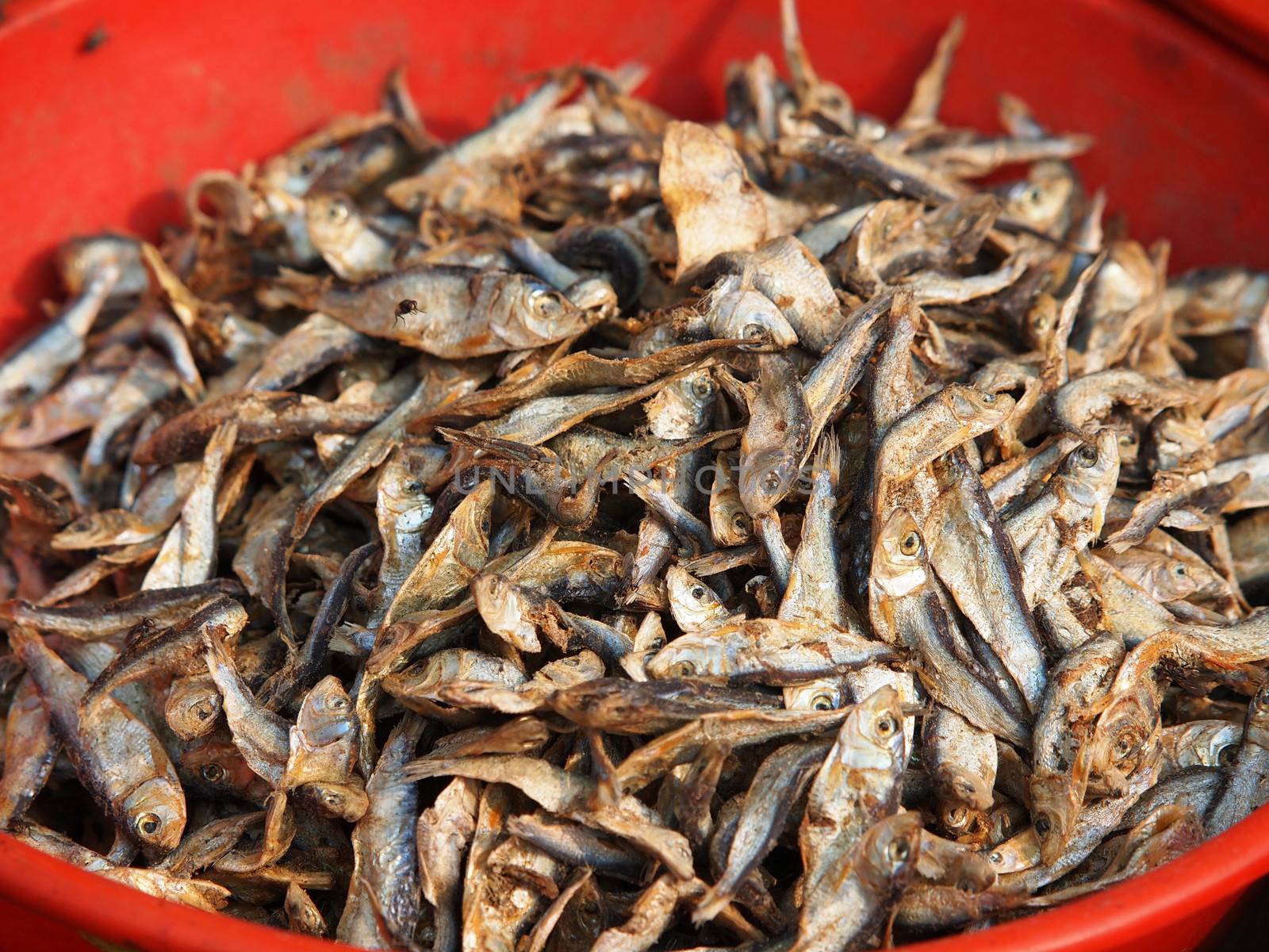 dry fish on the open market i Nepal      