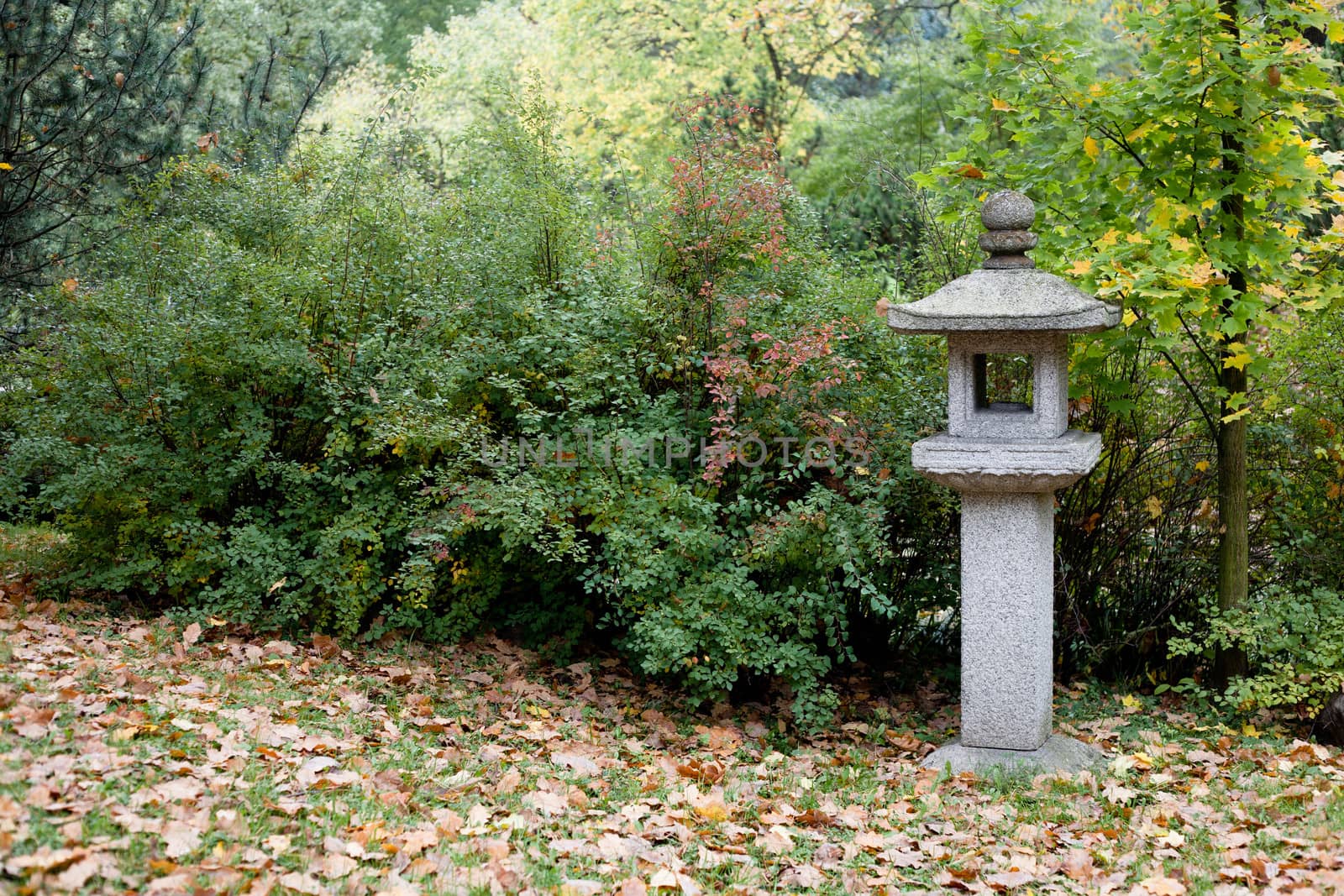 Bushes, stone traditional lamp and brown autumn leaves in a park 
