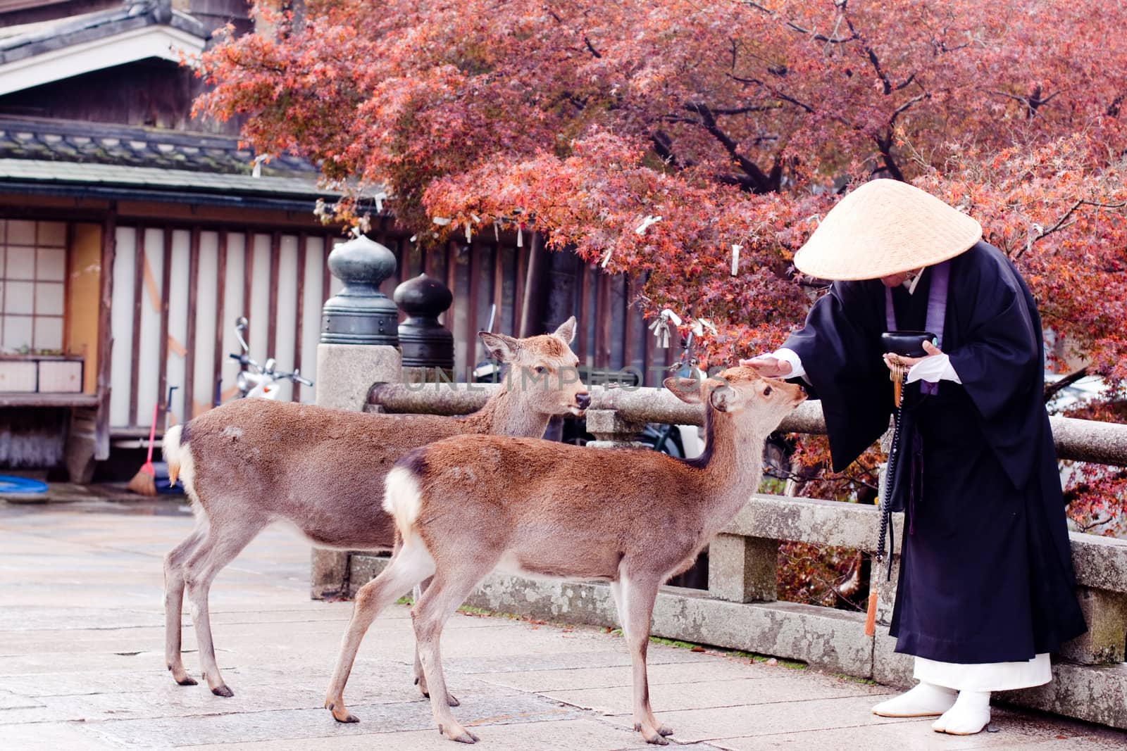 Buddhist monk and two deers by foaloce