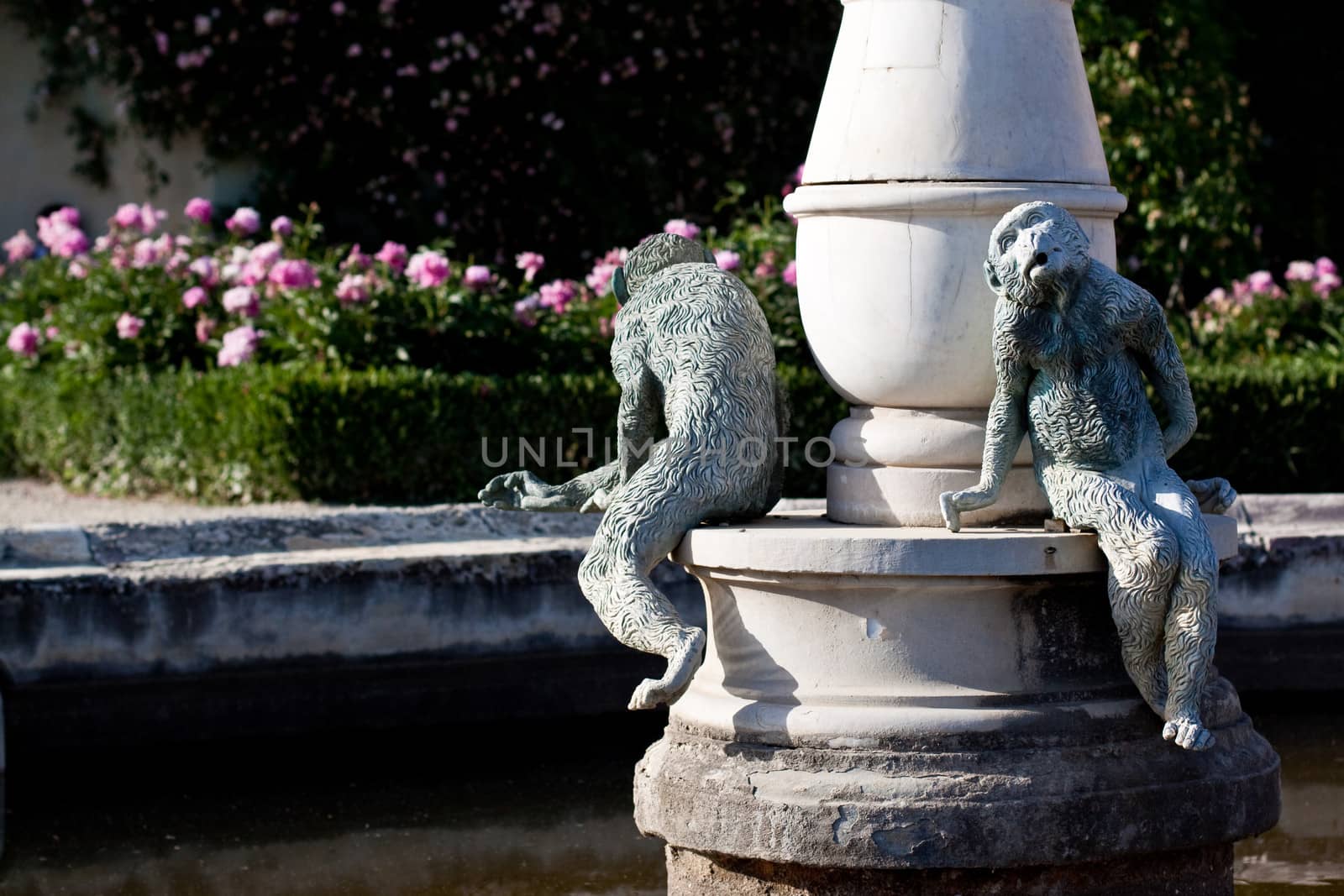 Monkey statue in a summer garden in Florence
