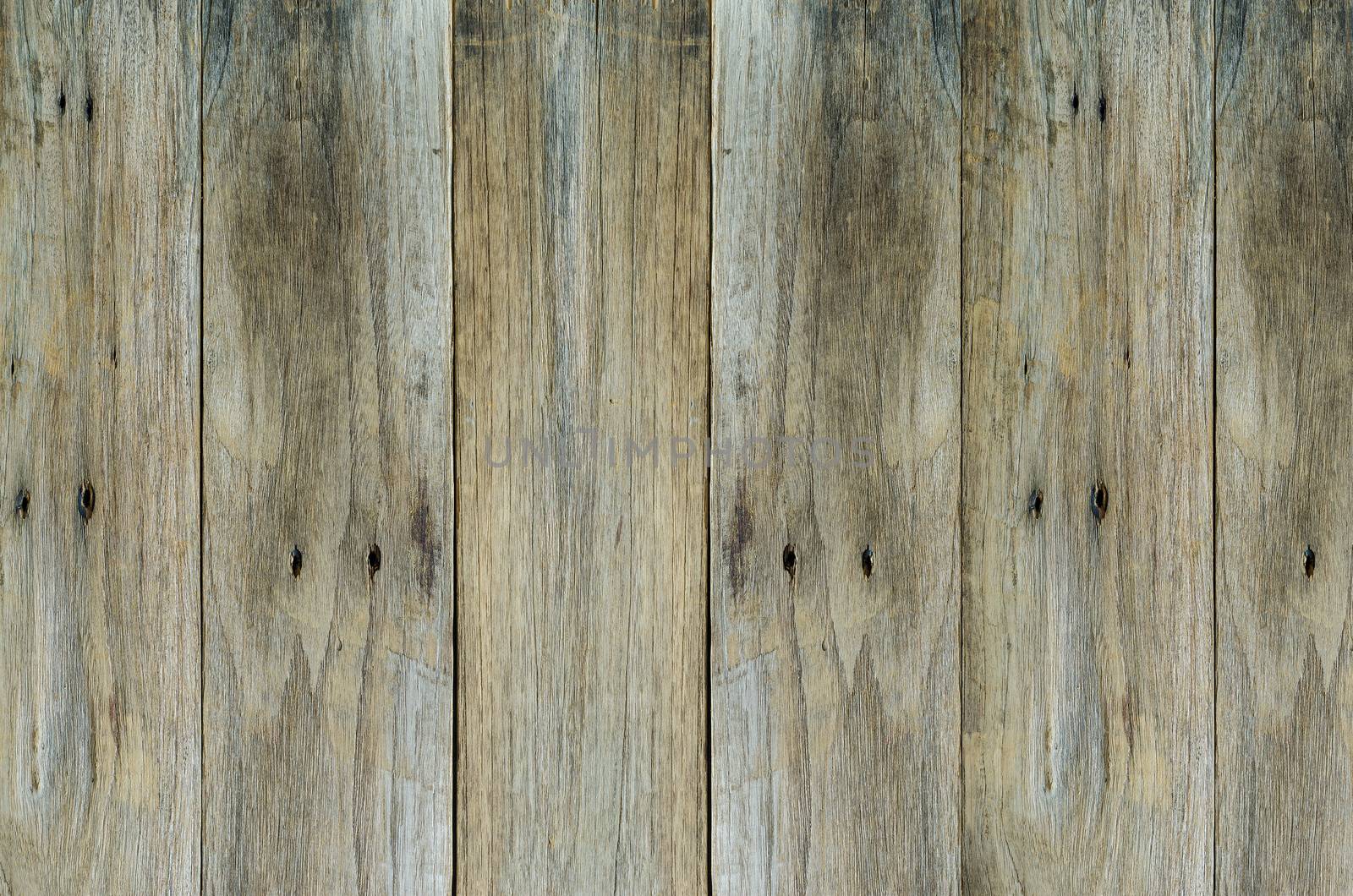 texture  grungy wooden background  : copy space