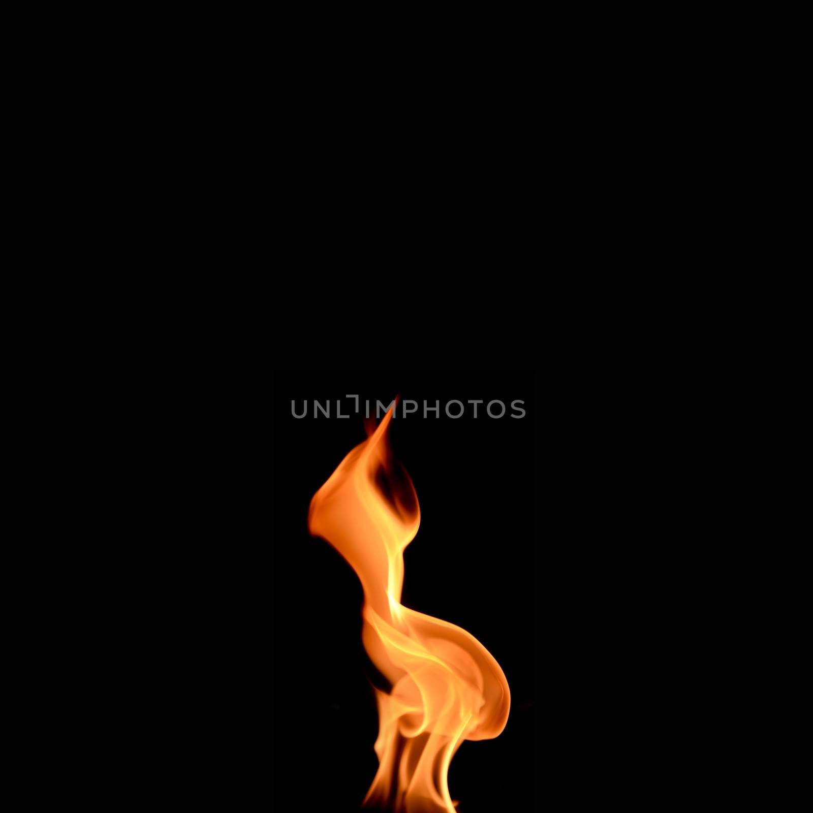 A shot of a flame on a plain backgrpond