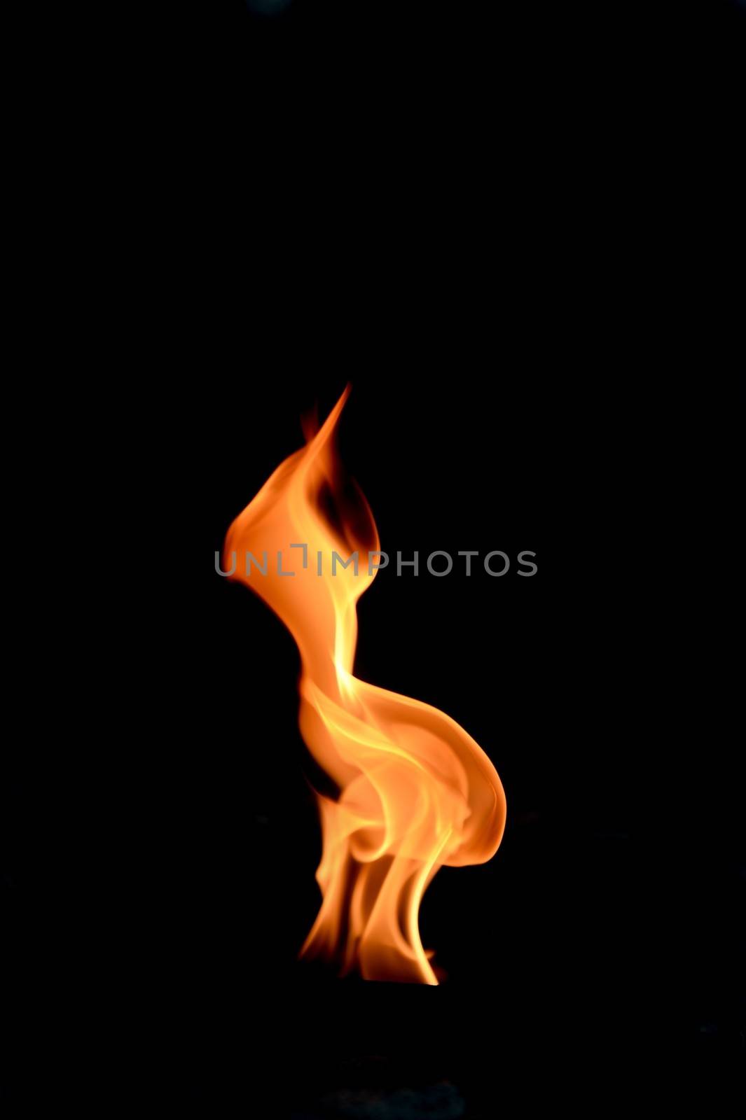 Fire by Kitch