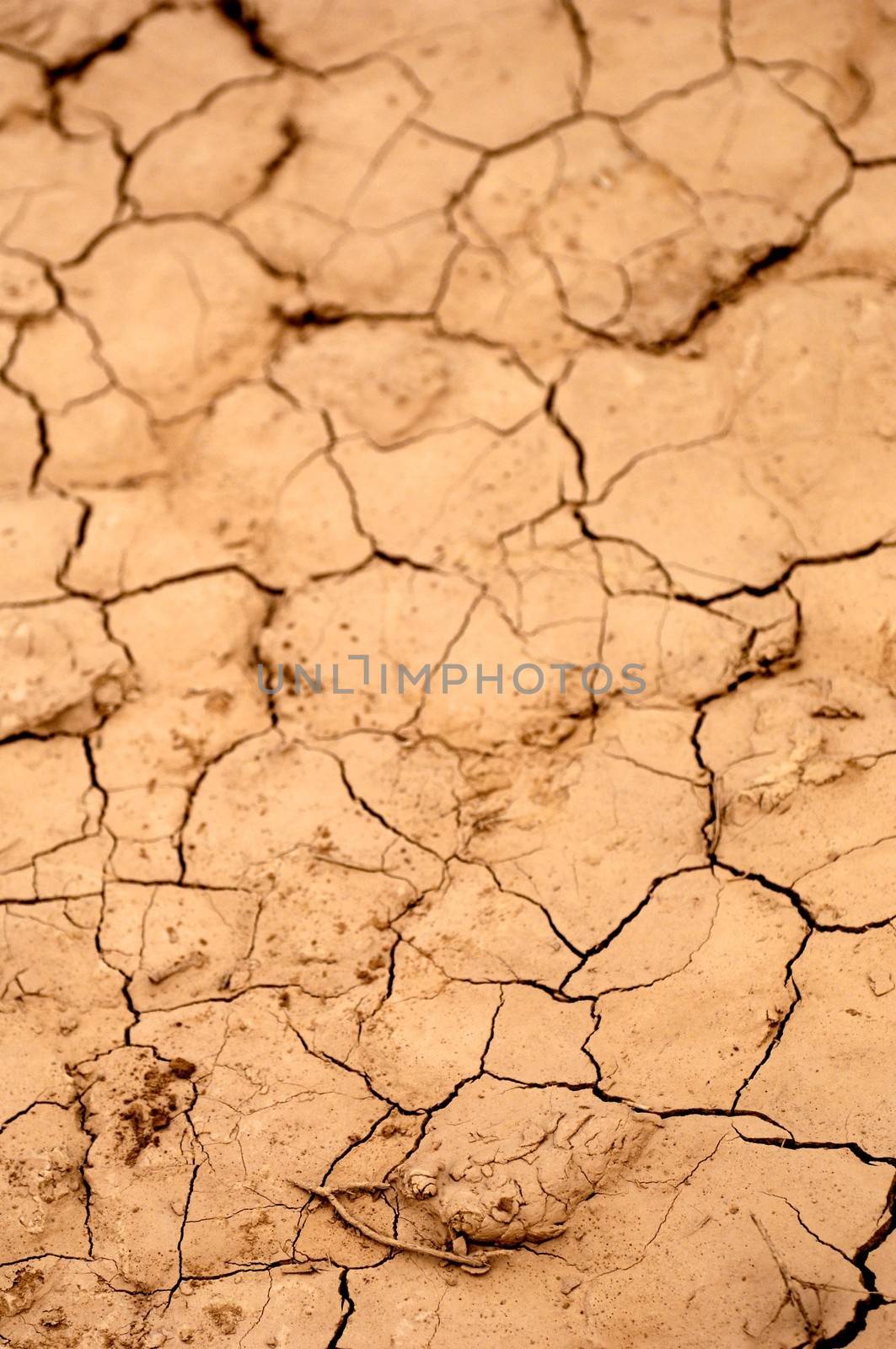 Dry Waterhole by Kitch