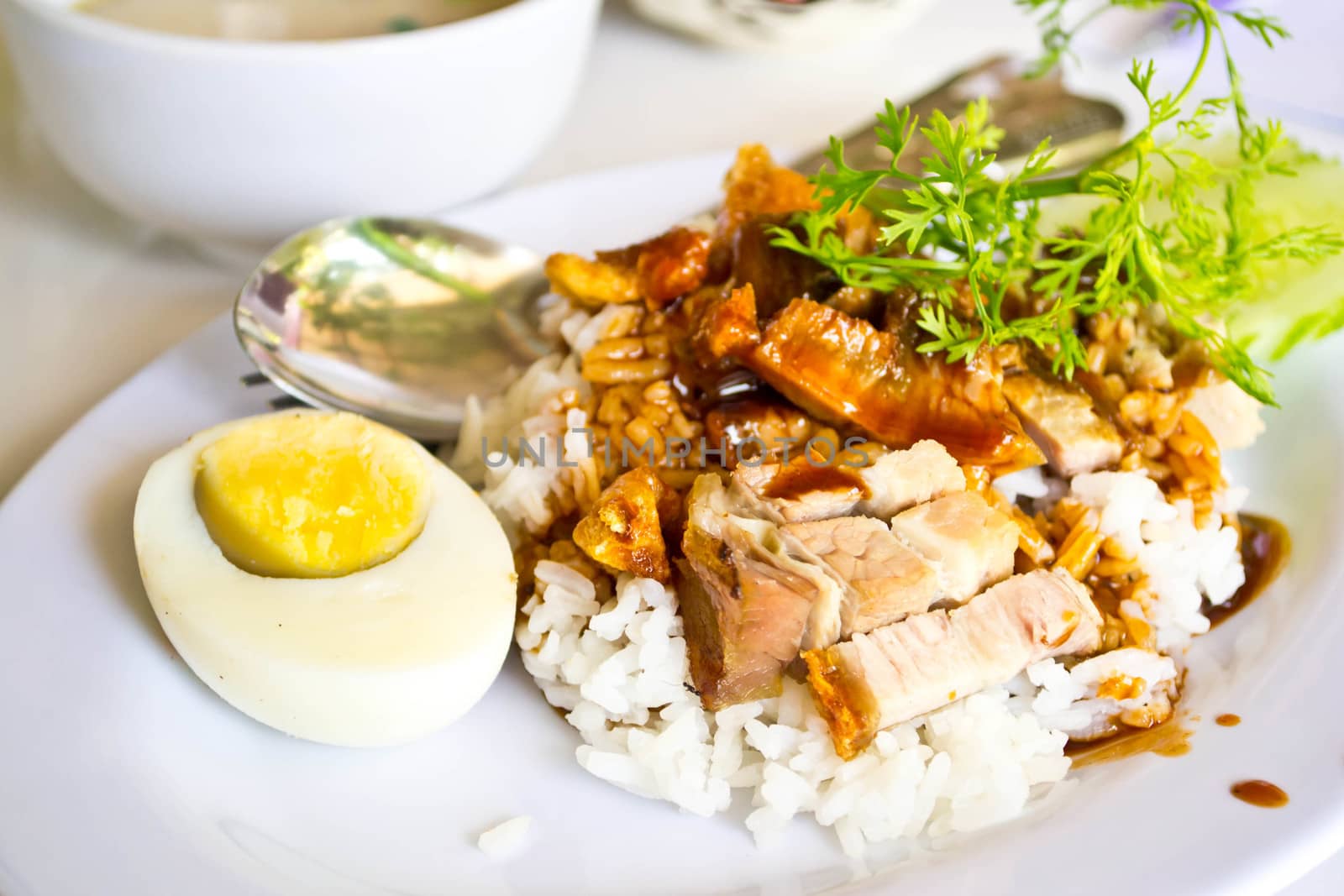 Rice with roasted pork