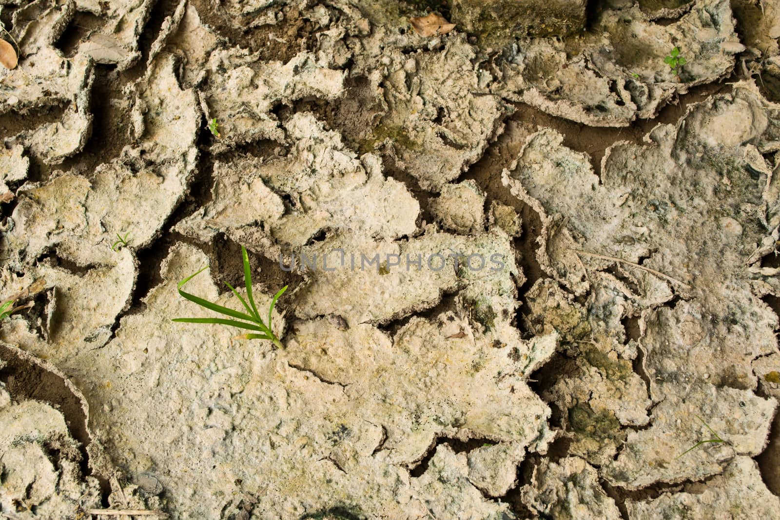 Dry soil texture background
