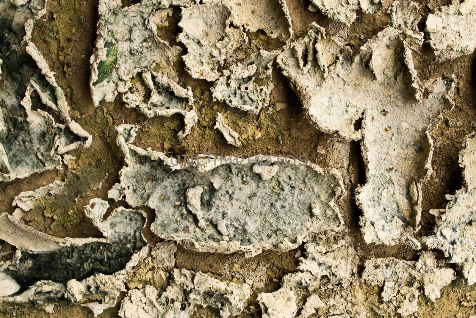 Dry soil texture background