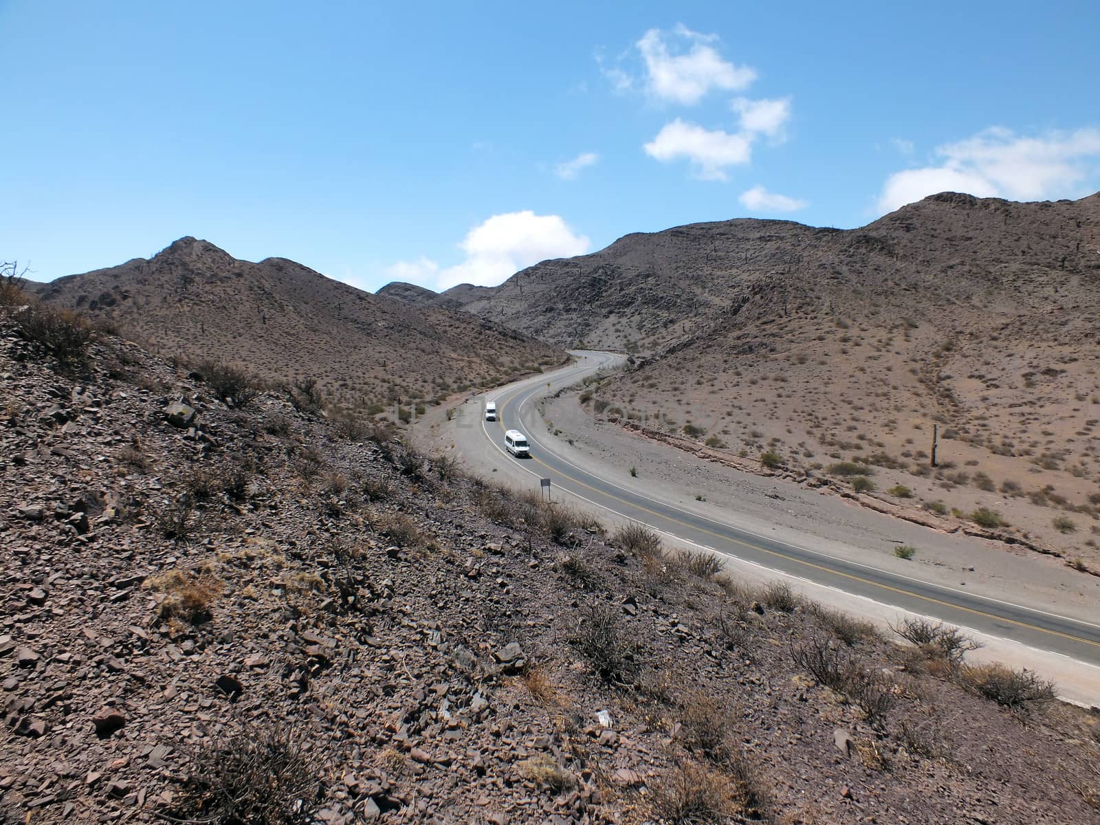 The road linking Salta with the RN40 at Cachi passes through the Los Cardones National Park.