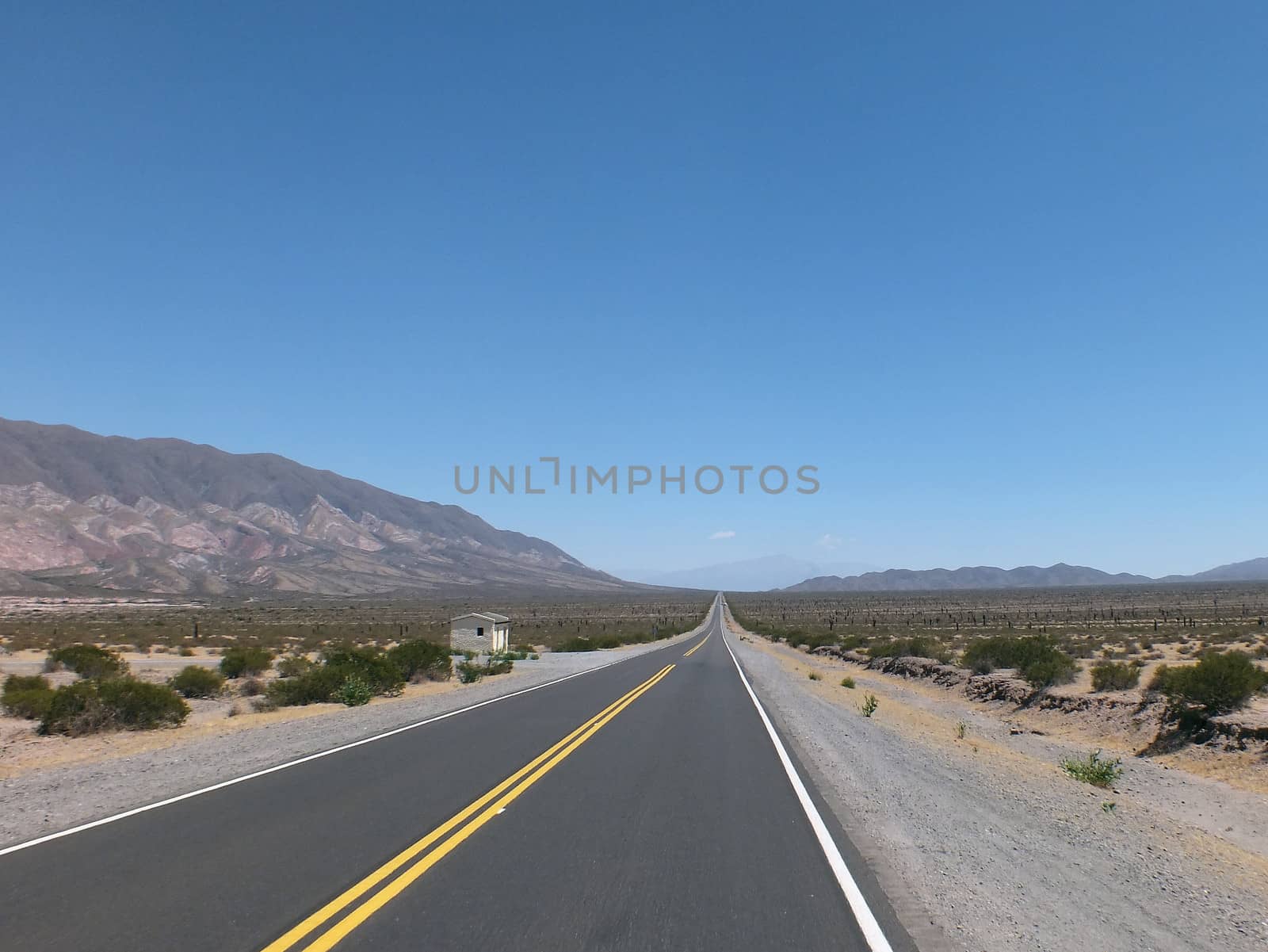 An empty road passing through the Los Cardones National Park