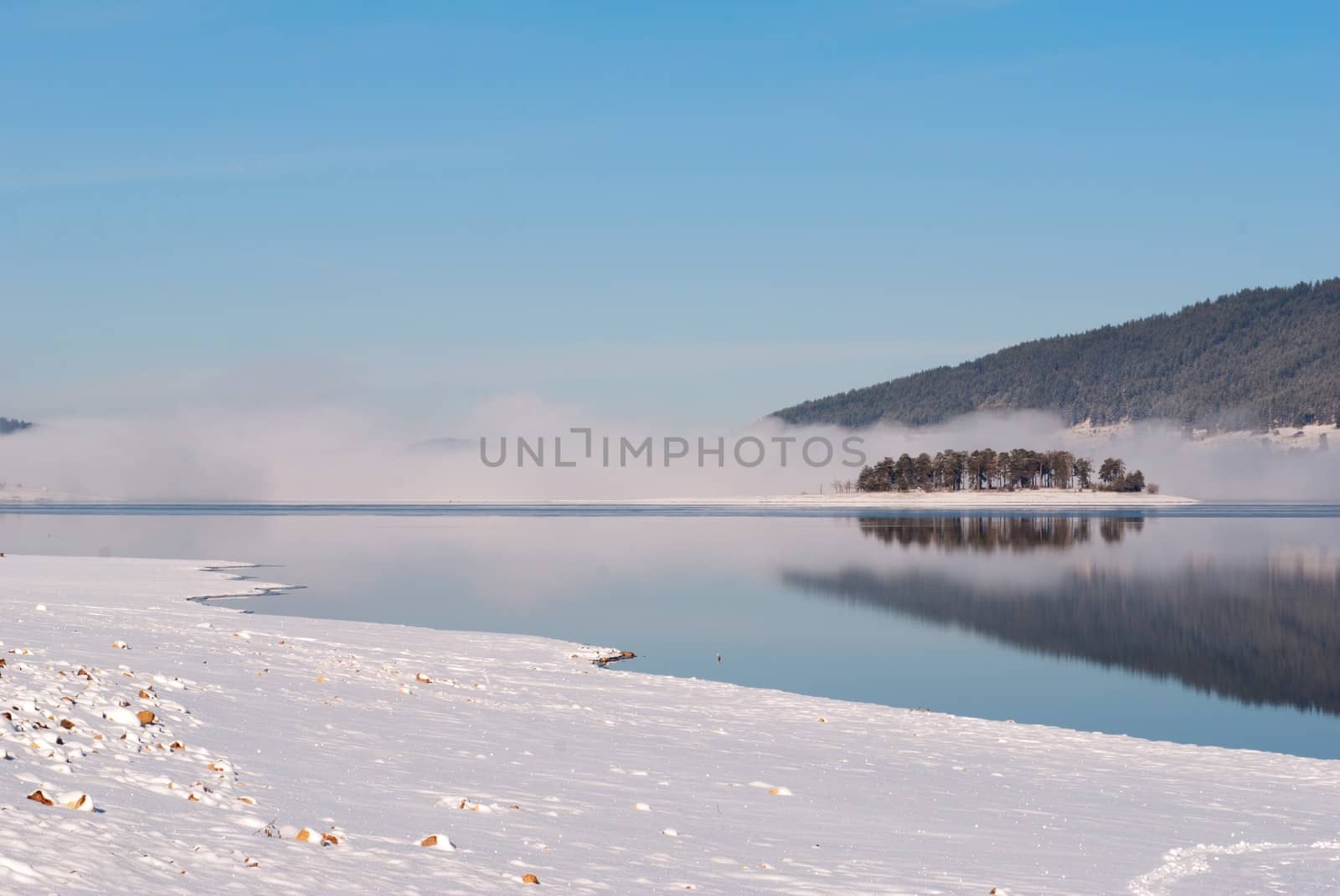 Winter scene of a lake, small island and forest, fog