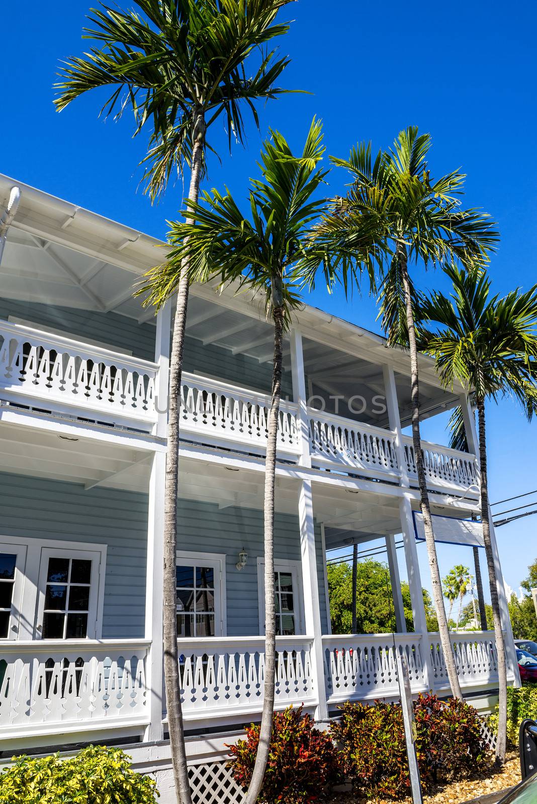 A Quiet Residential Street In Key West, Fl. 