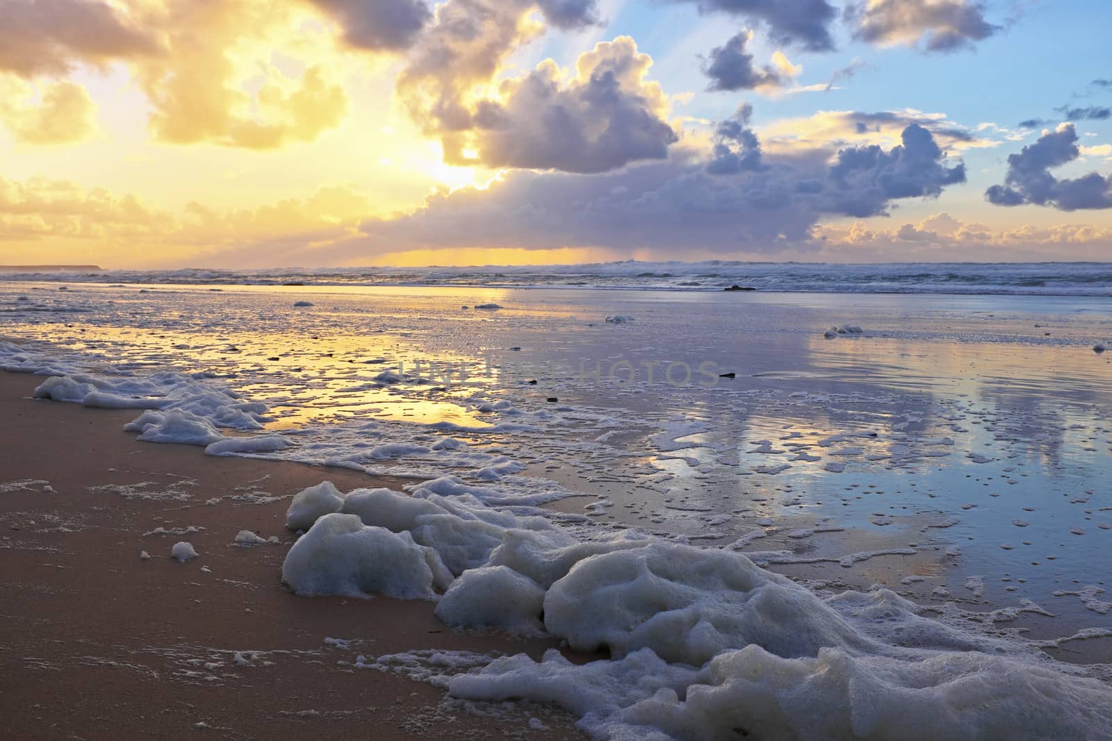 Foam at the beach in Portugal at sunset