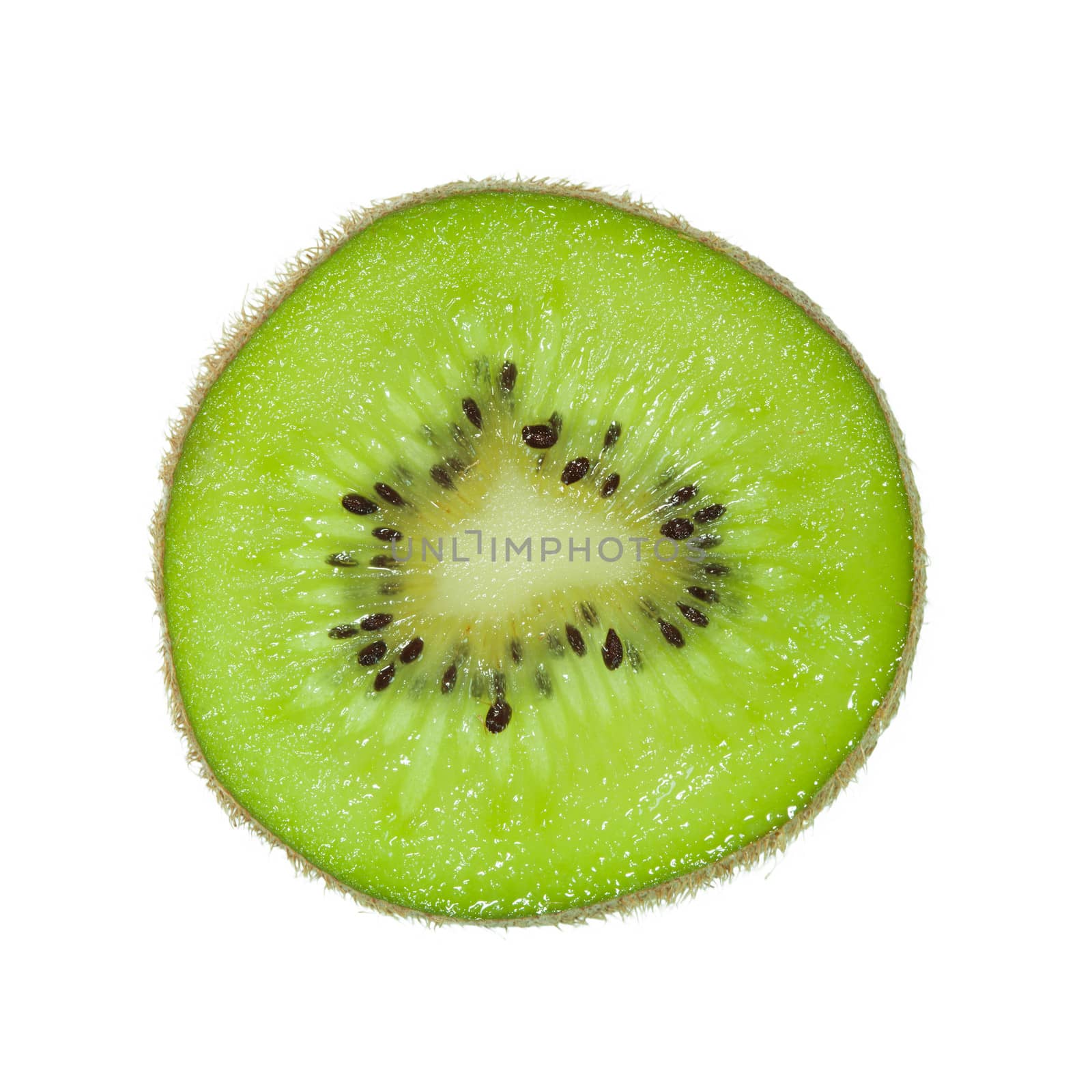 Kiwi fruit isolated on white