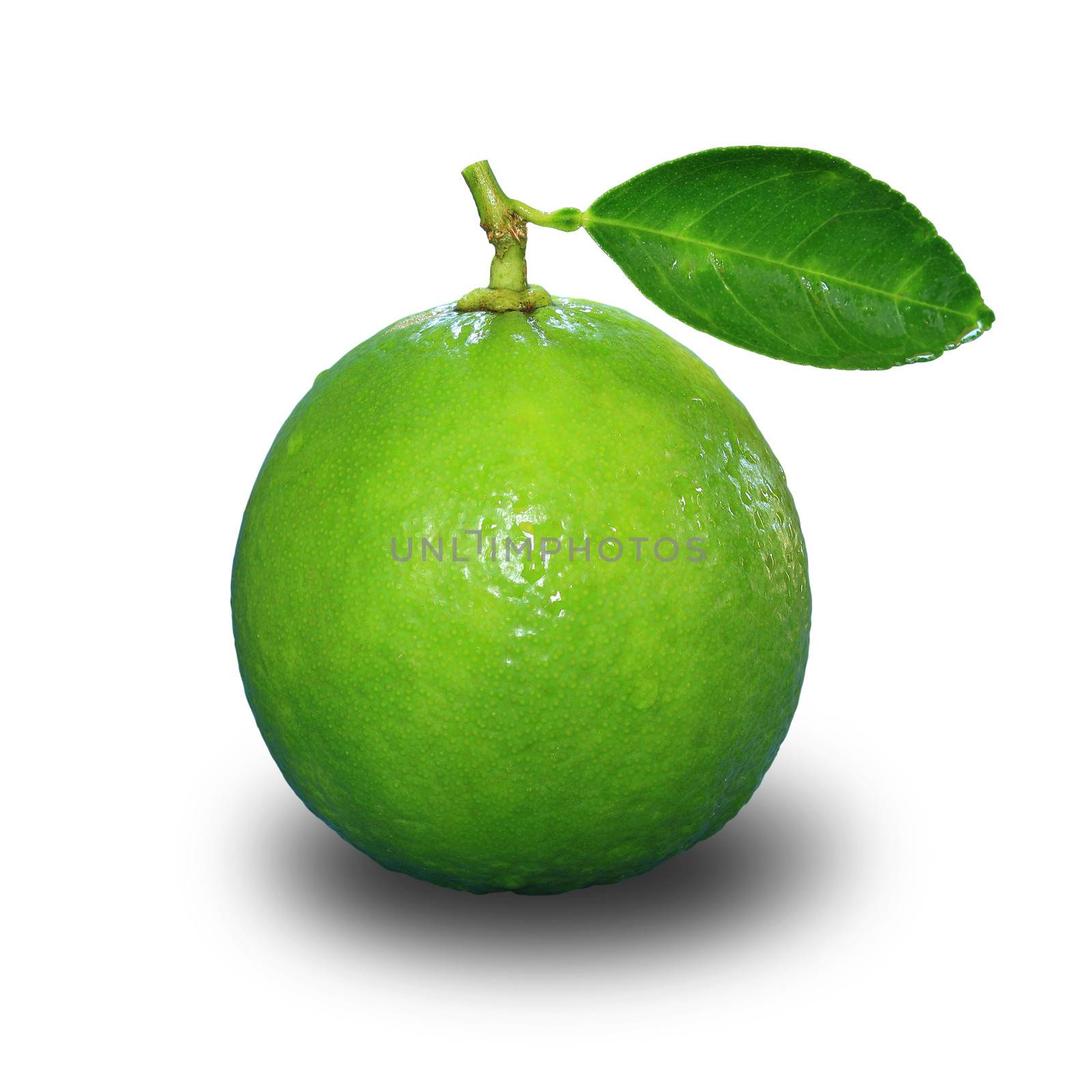 Lime isolated on white