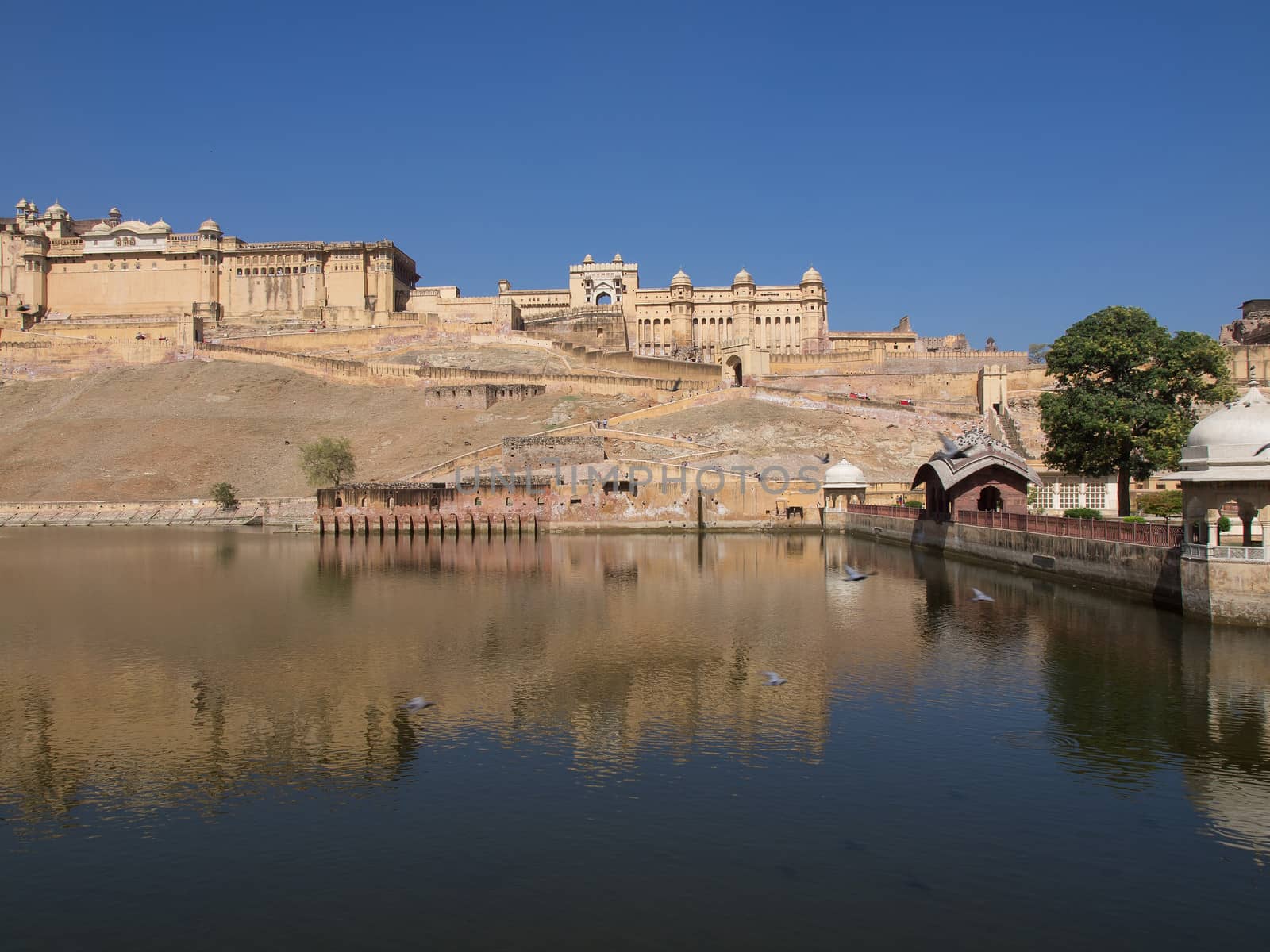 amber fort by nevenm