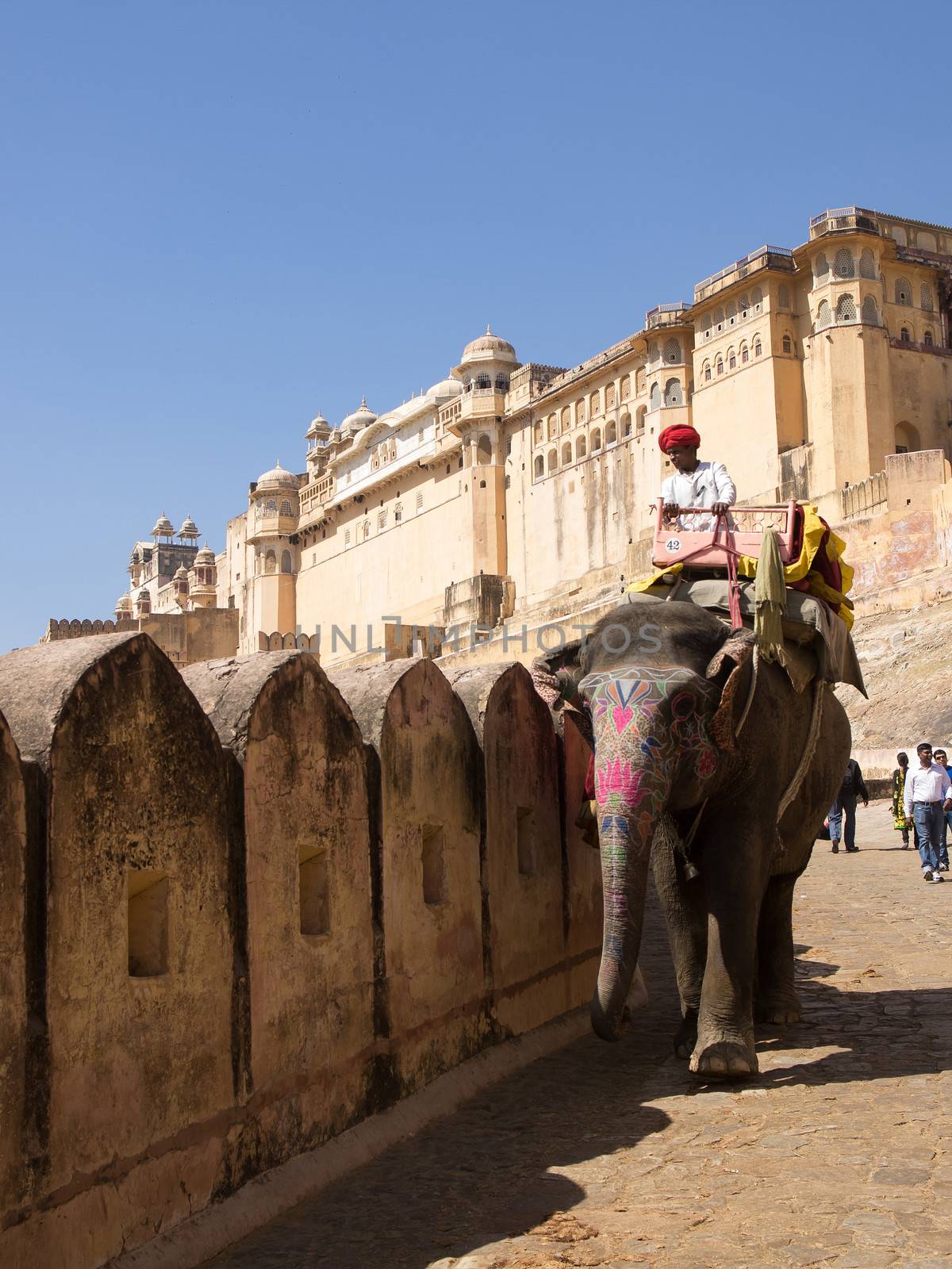 India, Rajasthan, Jaipur, the Amber Fort, elephant driver