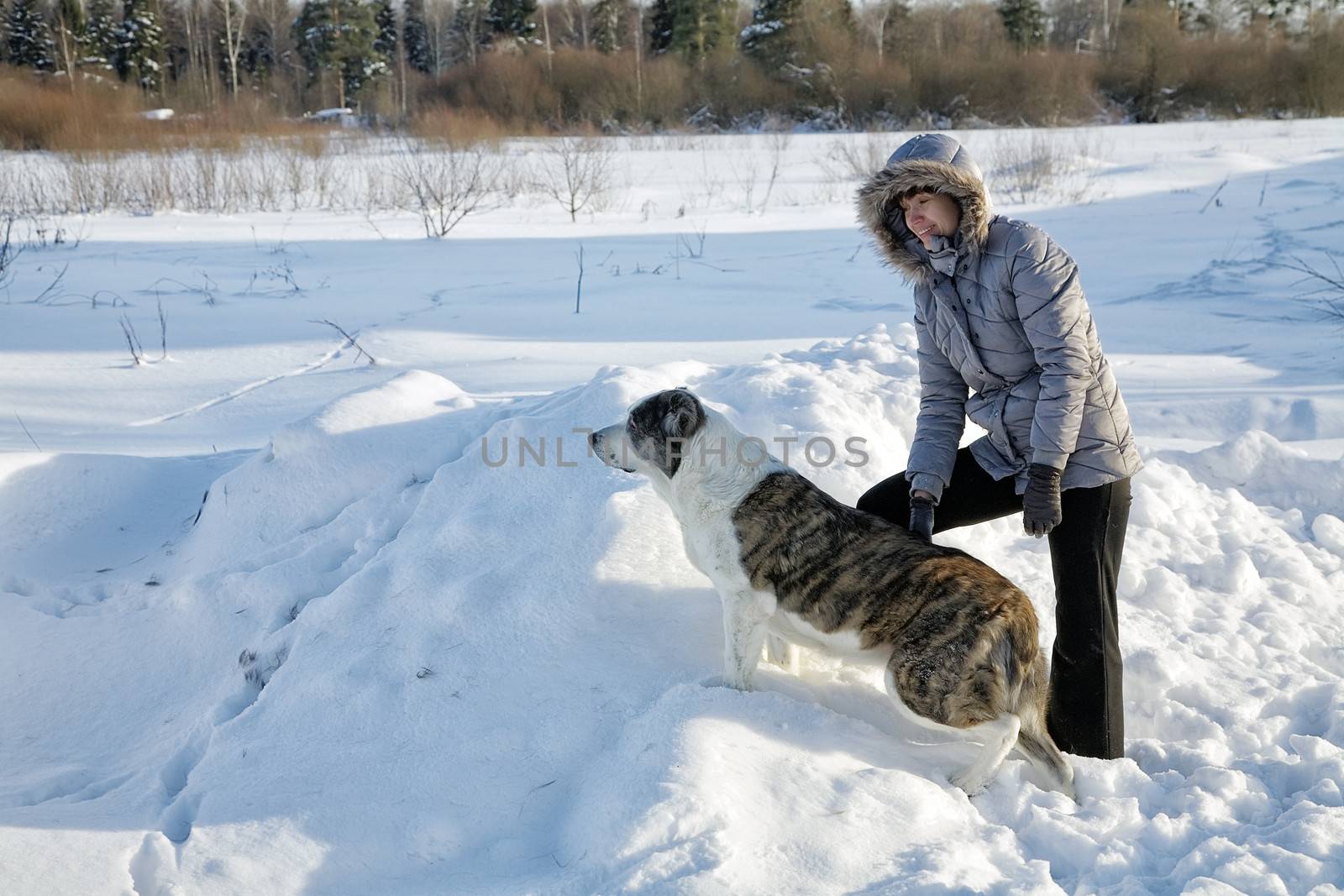 woman plays with a dog in the winter afternoon