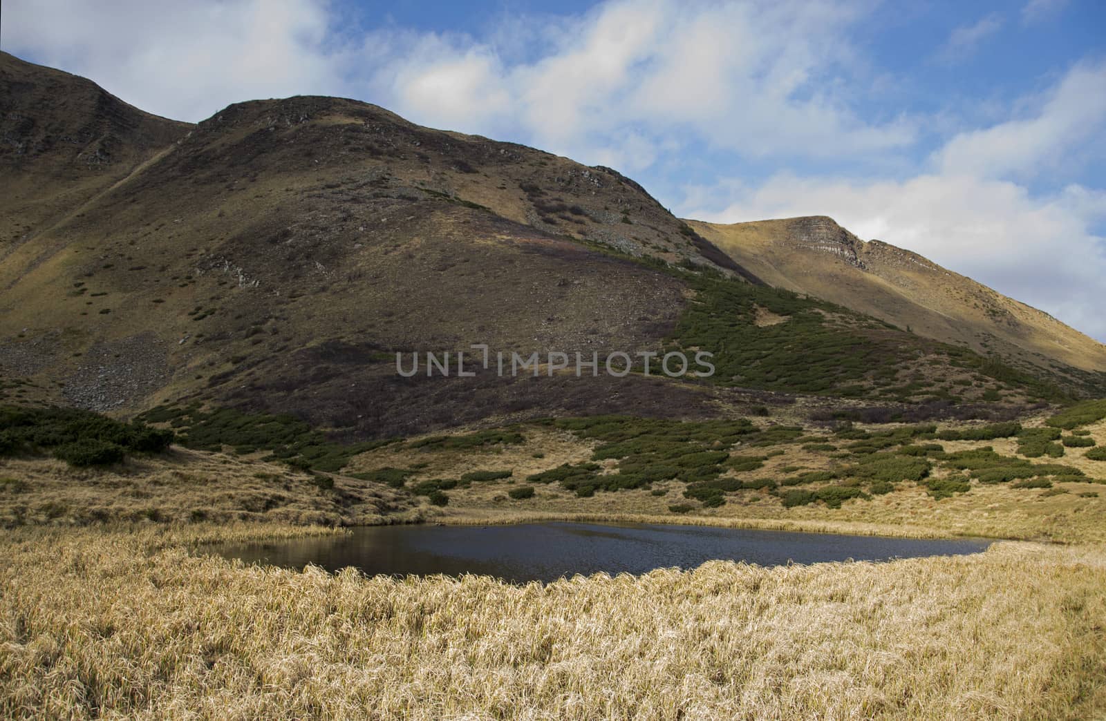 Oval lake at the foot of the mountain