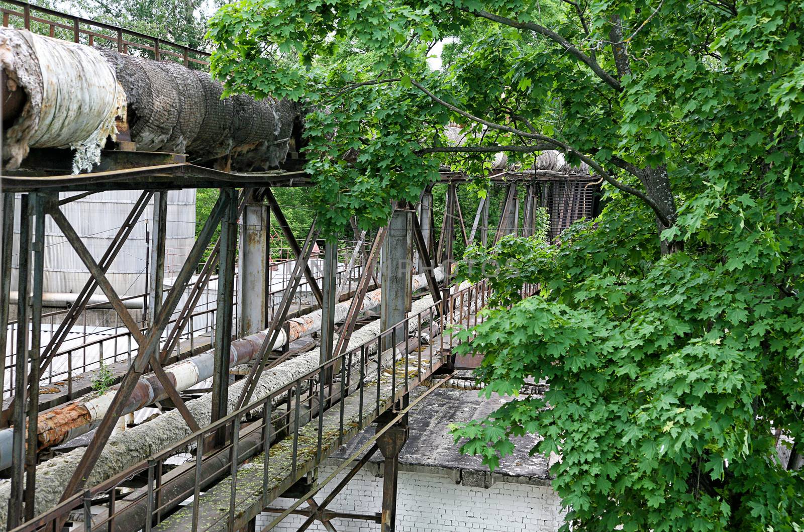 Old pipes of a heating plant among trees