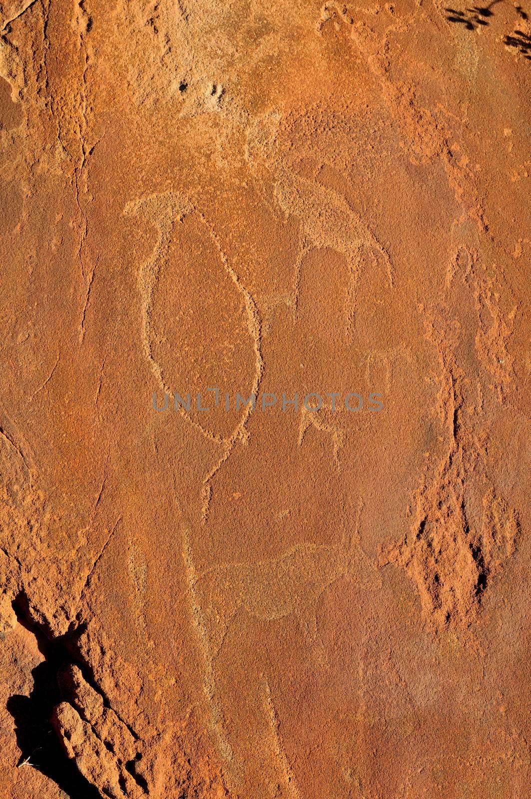 Rock engravings at Twyfelfontein, Namibia, a World Heritage site
