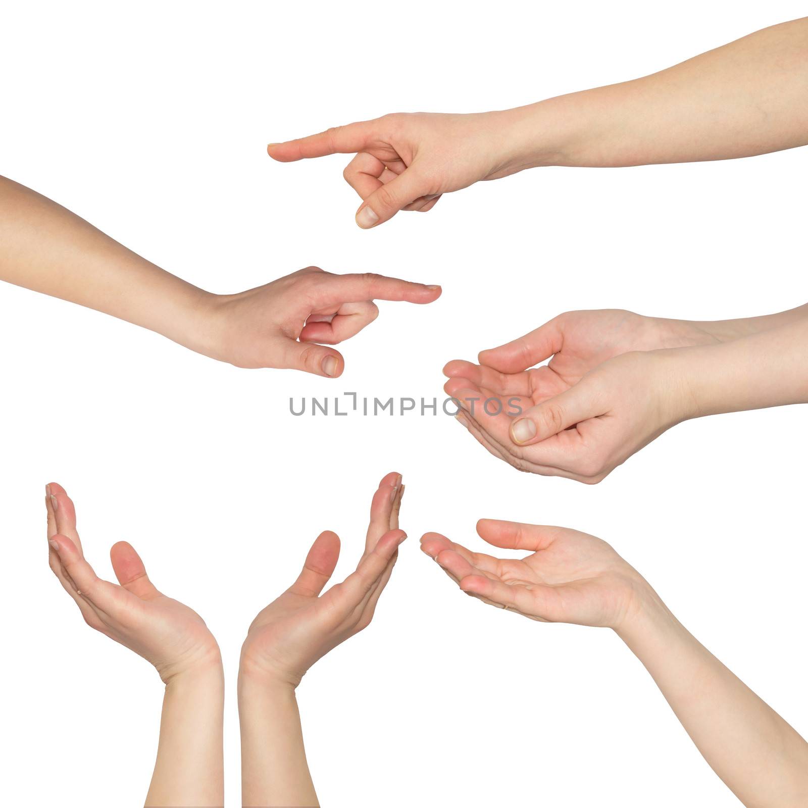 Collage of woman hands on white backgrounds