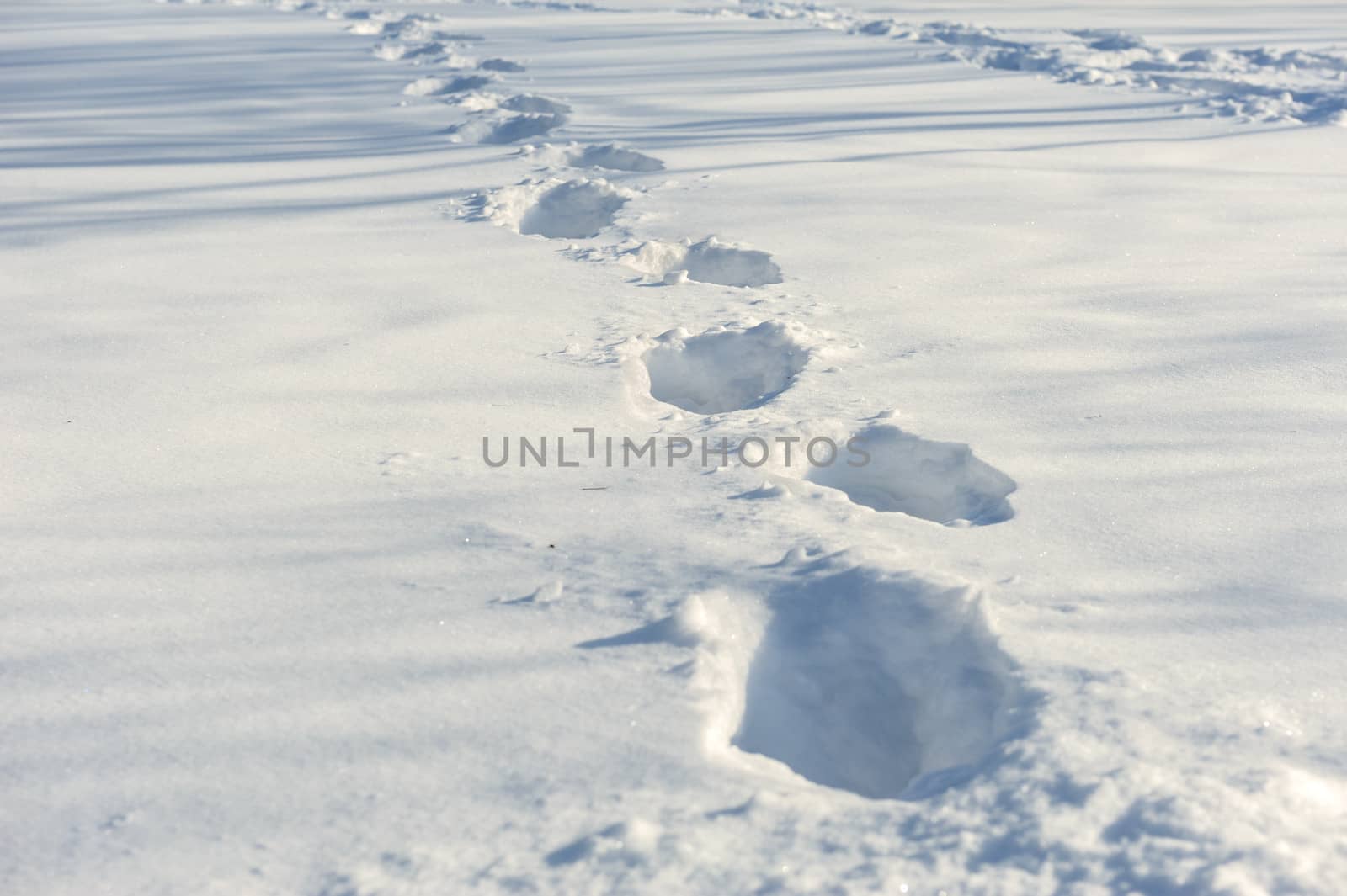 tracks on the snow by starush