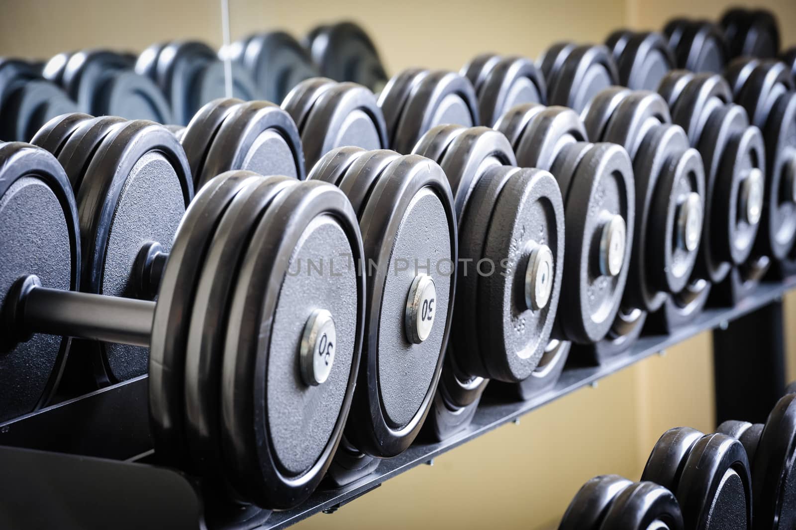 Row of barbells or dumbbells in the gym