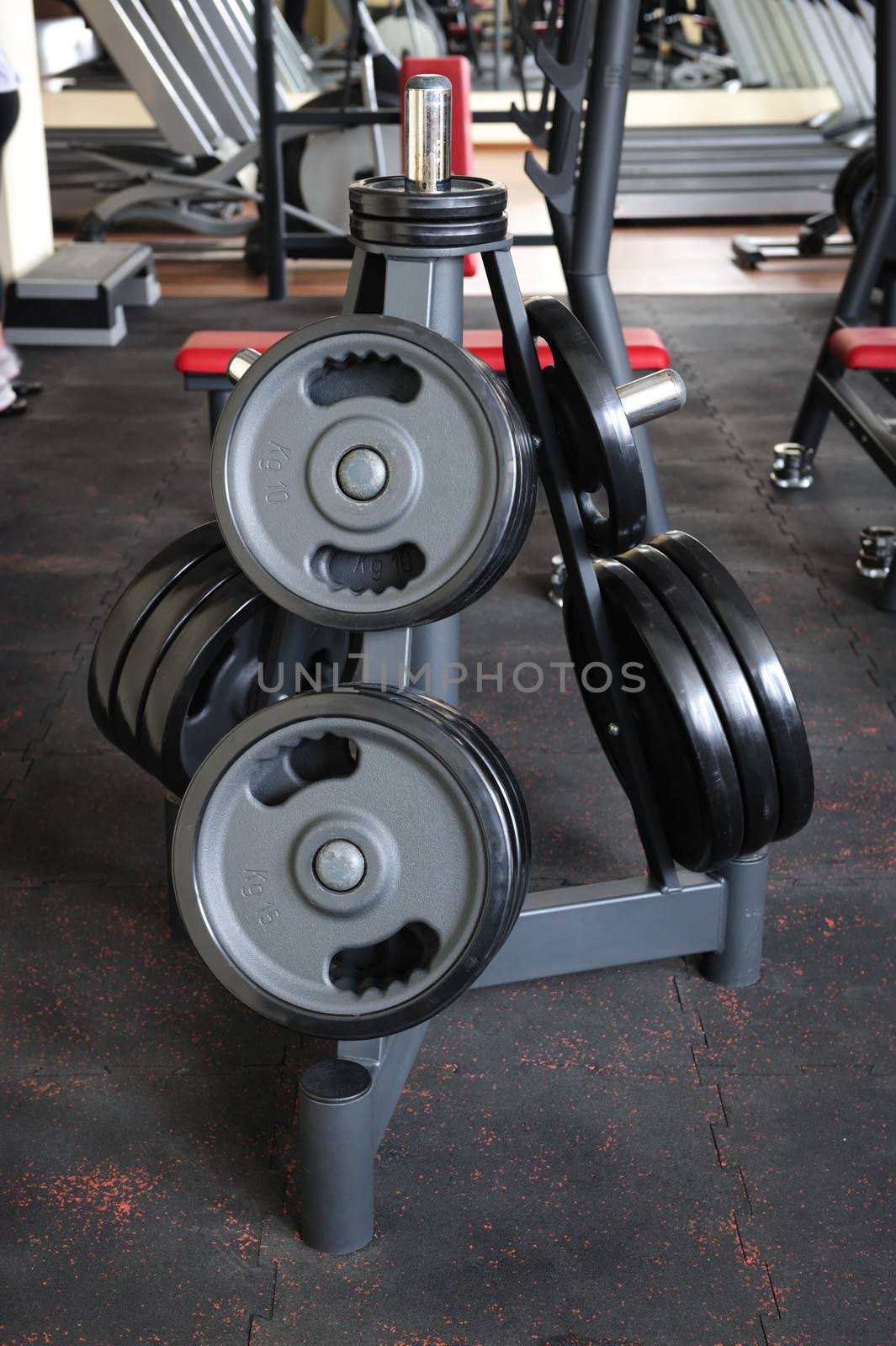 Barbell plates holder rack in the gym