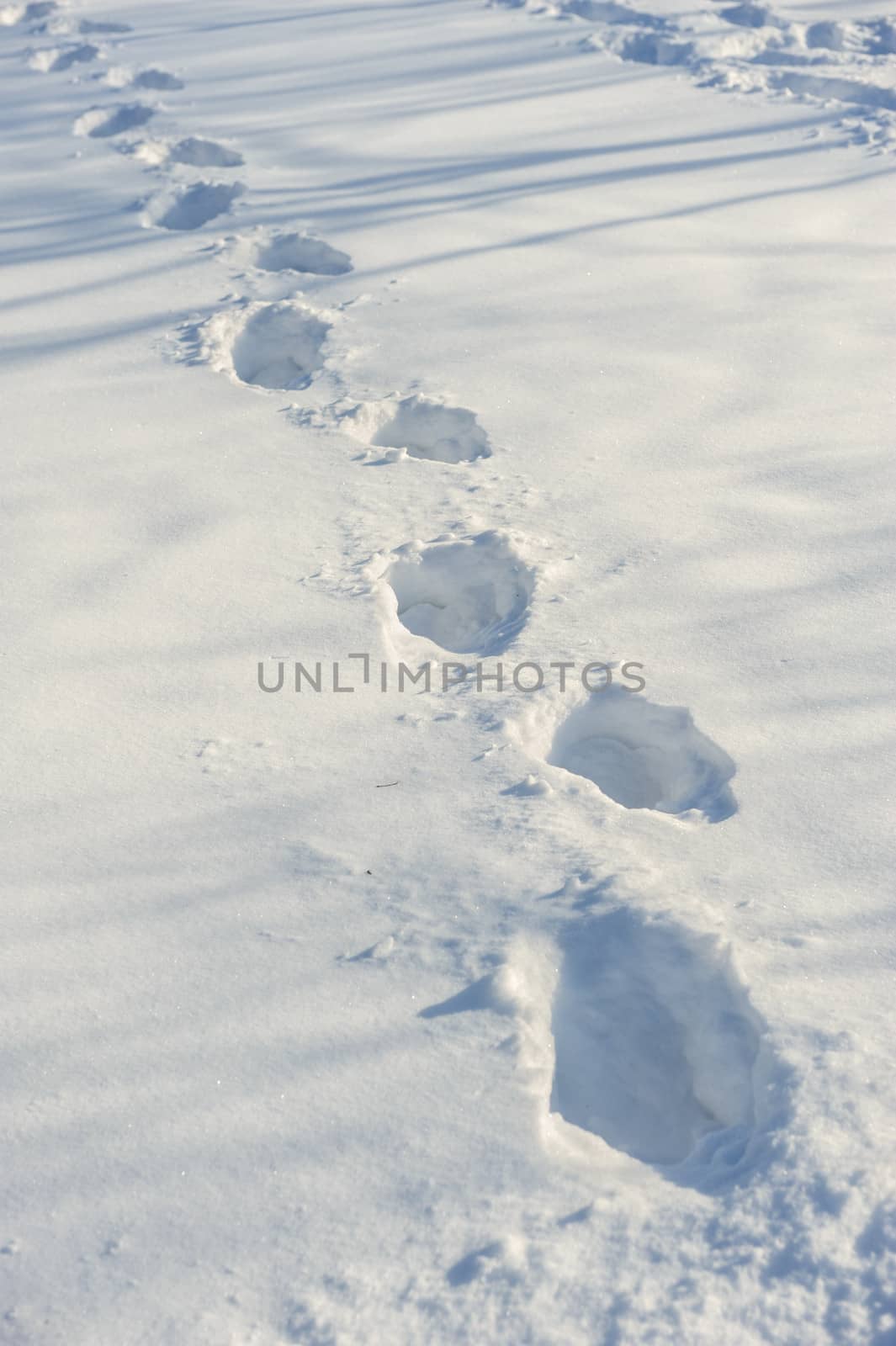 human tracks on the fresh white snow