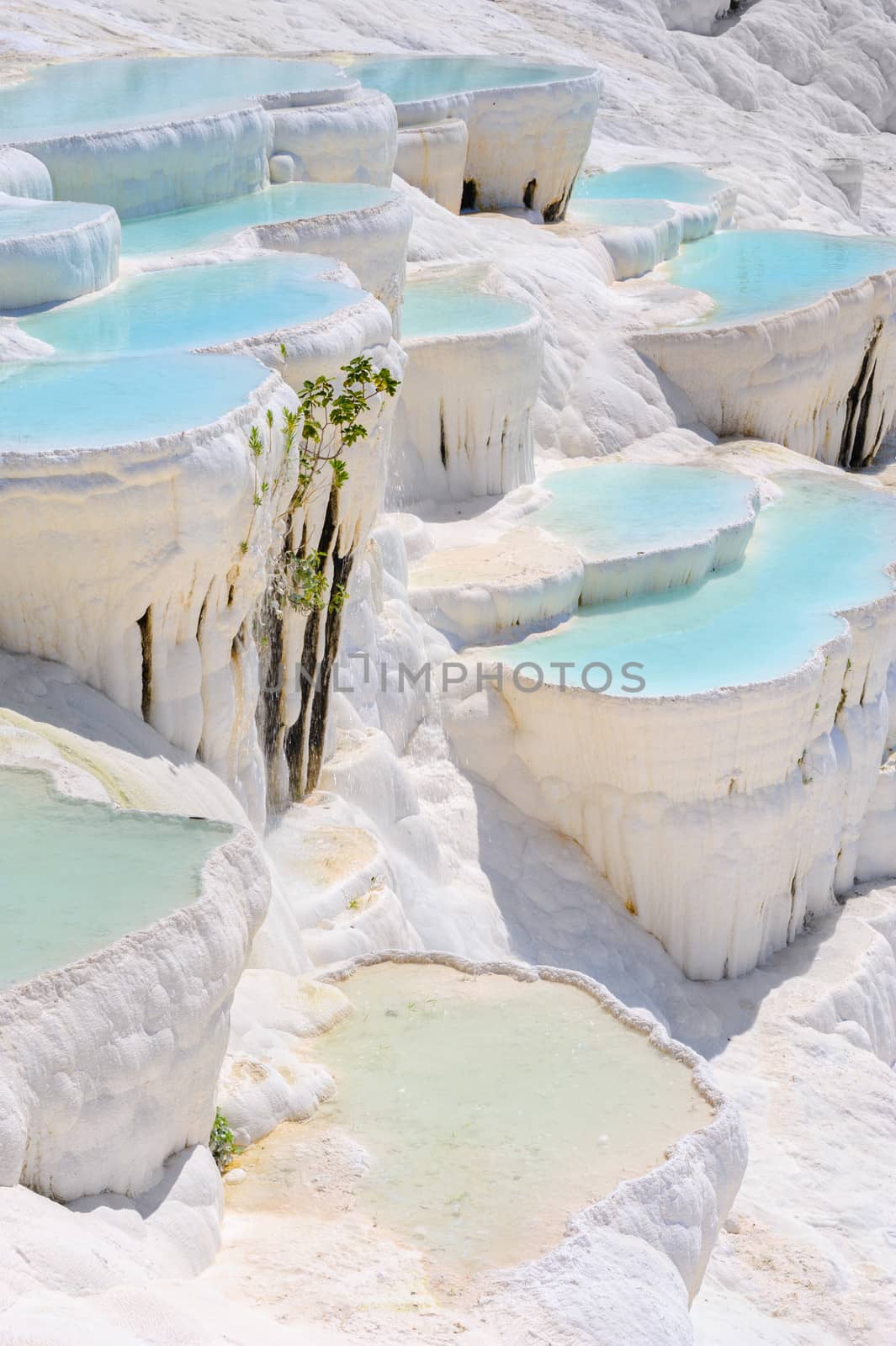 Blue water travertine pools at Pamukkale, Turkey  by starush