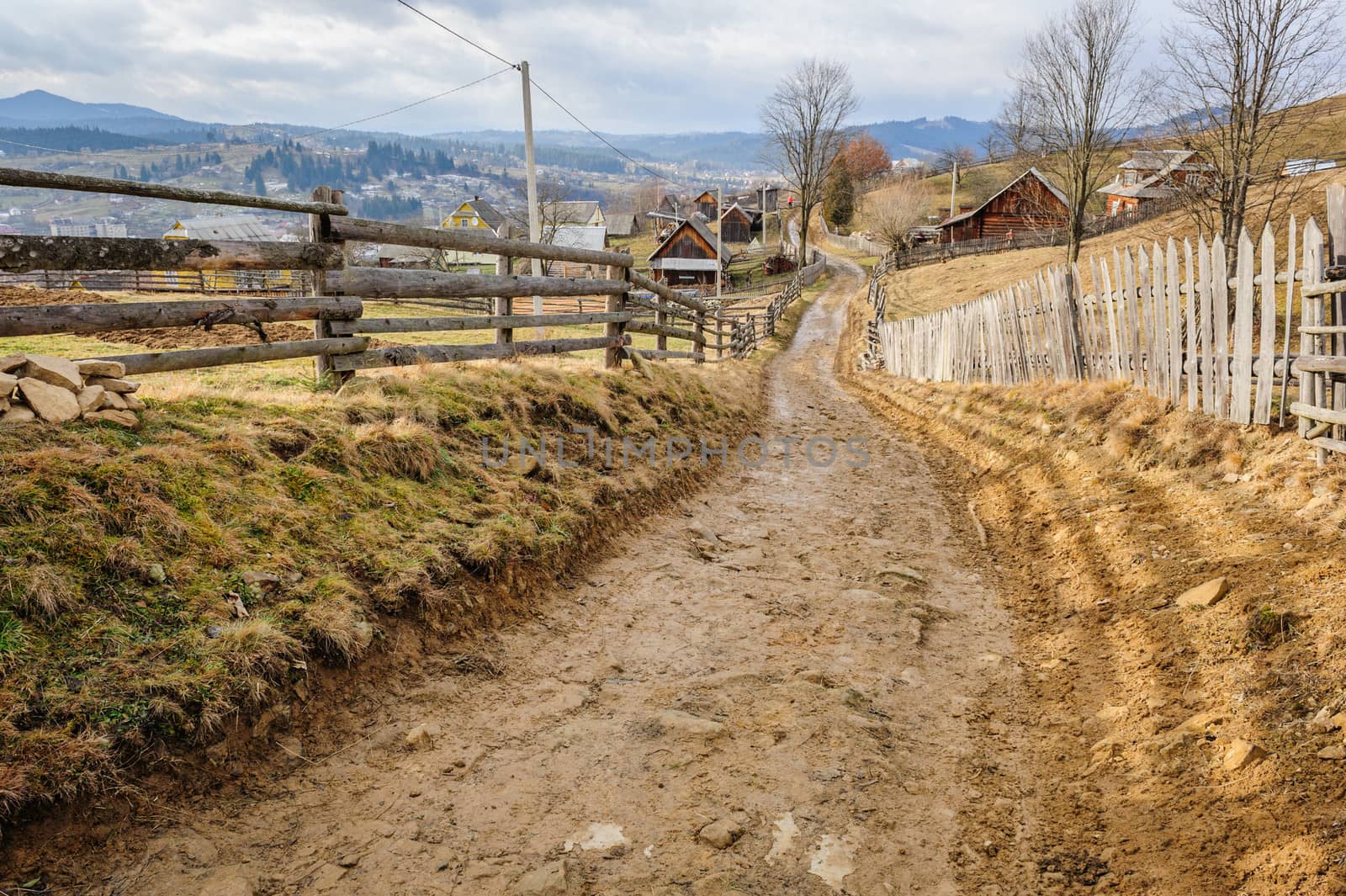 Dirty road in Carpathian village  by starush