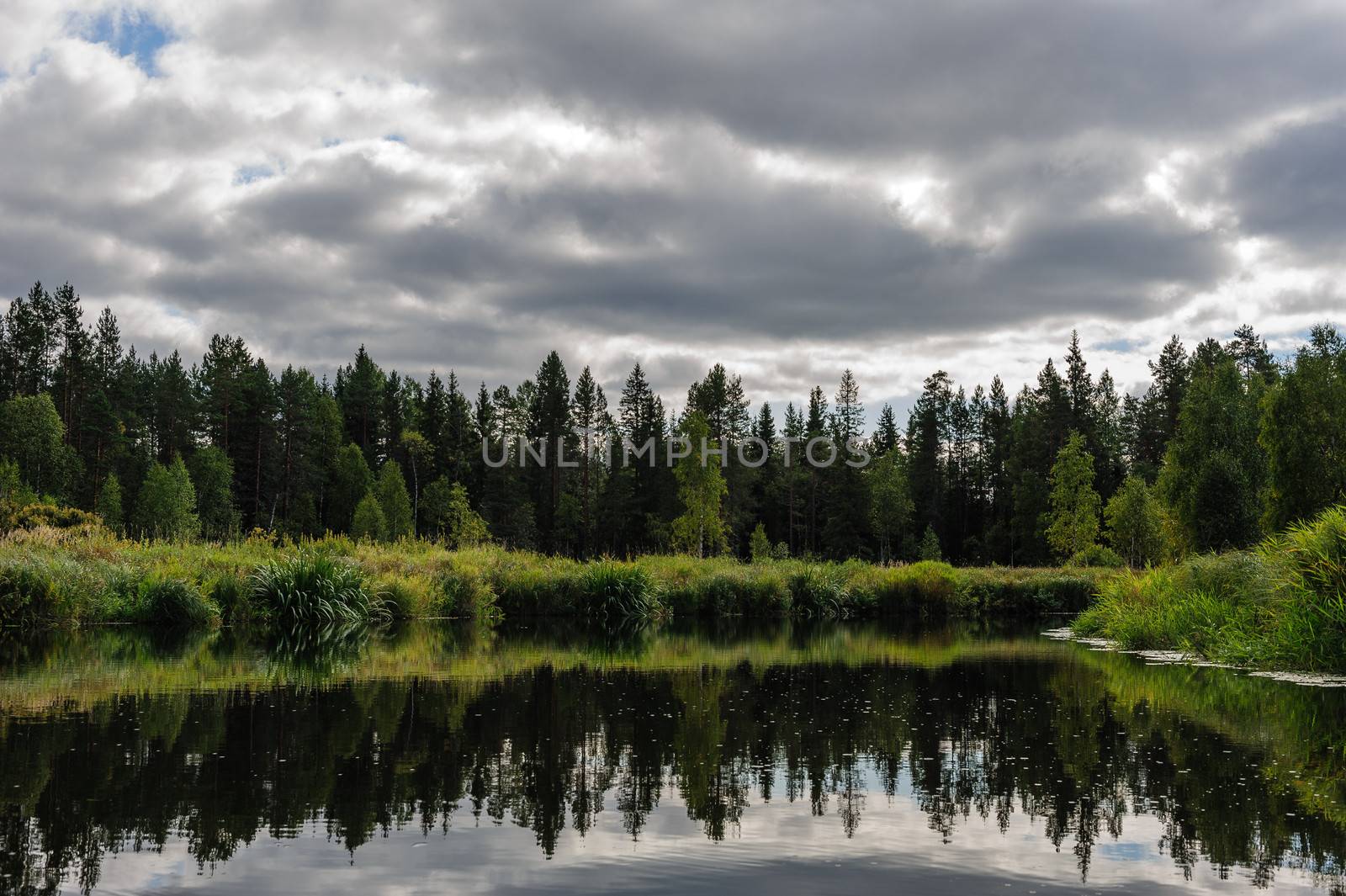 Beautiful river coast in the wild Karelian (Karjala) woods