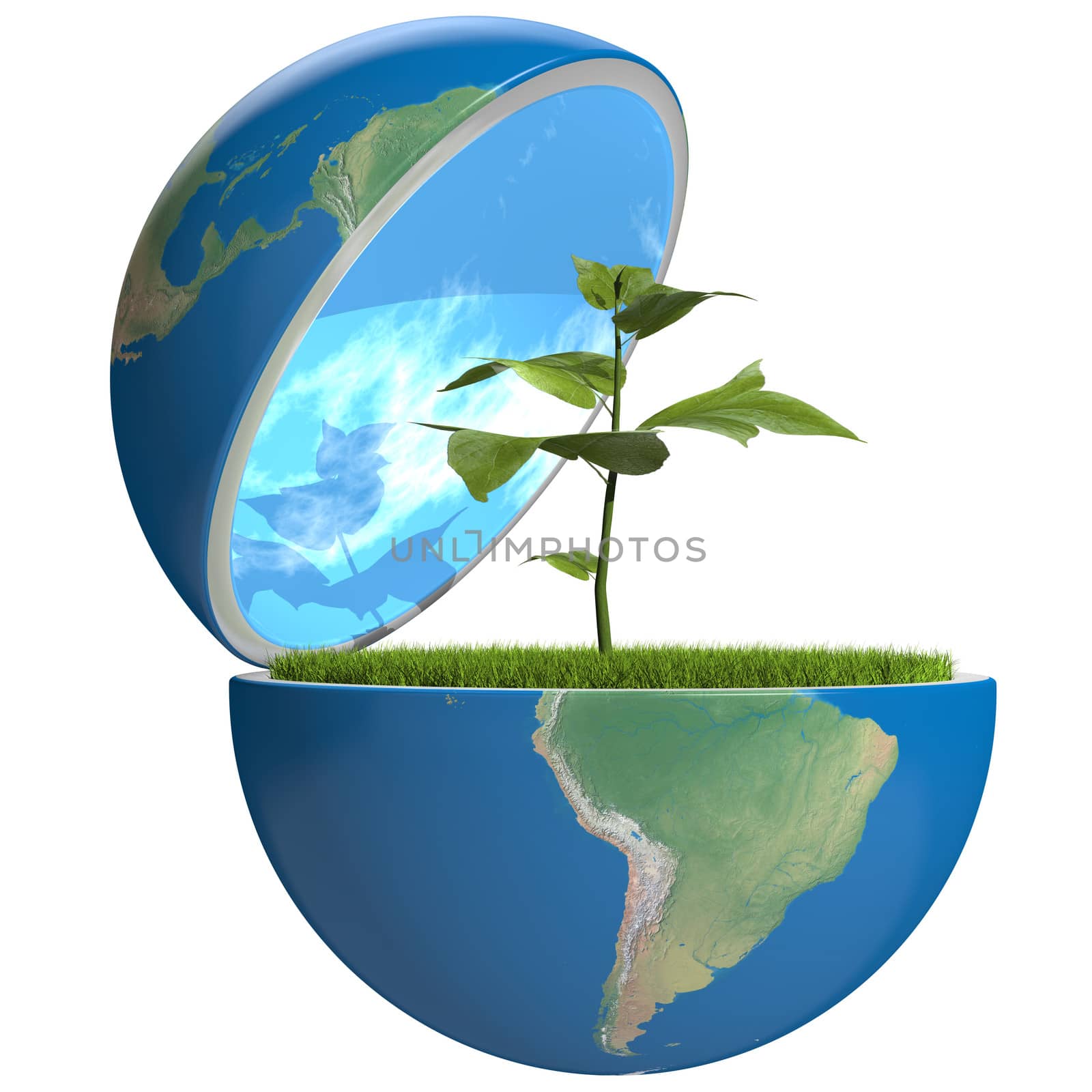 Small plant growing inside opened planet Earth, isolated on white background, concept of ecology, symbol of new life. Elements of this image furnished by NASA