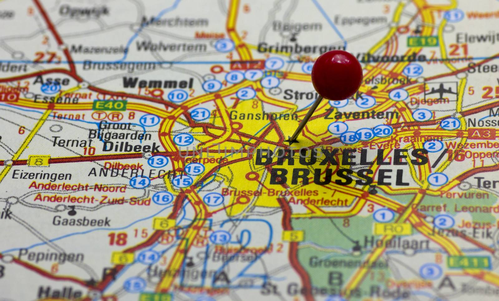 Brussels pointed with red push pin