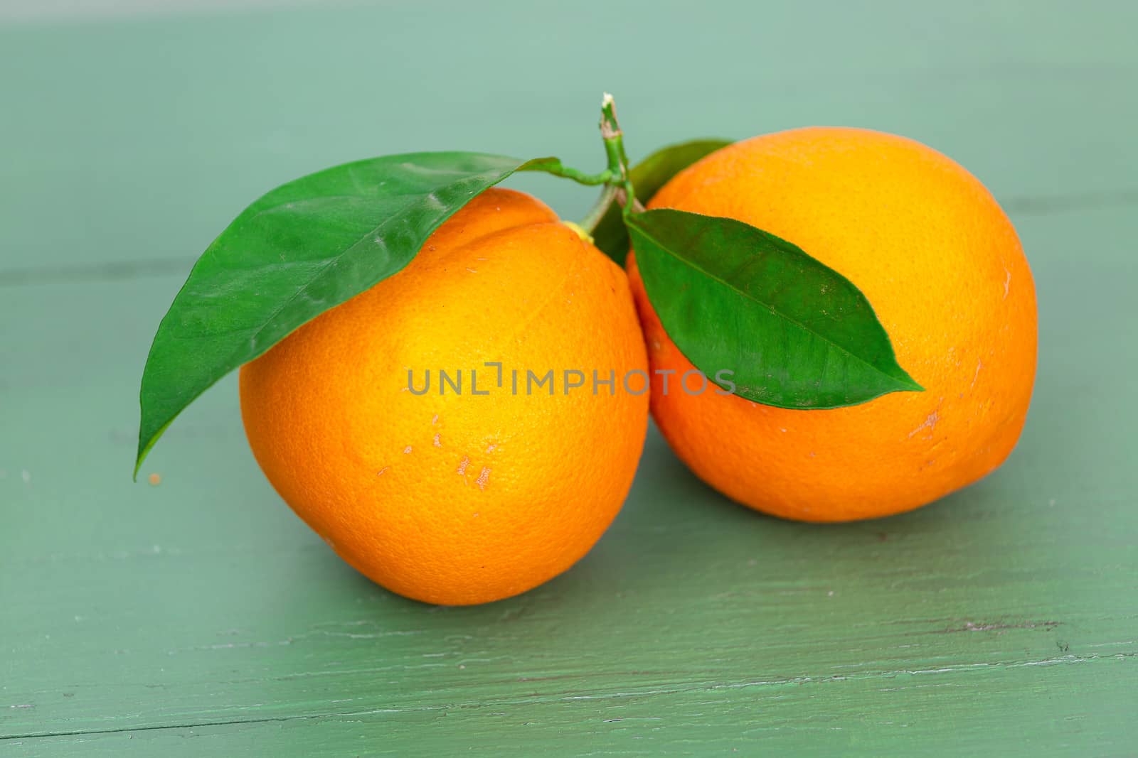 Two big Oranges with Leaves on a green wood table