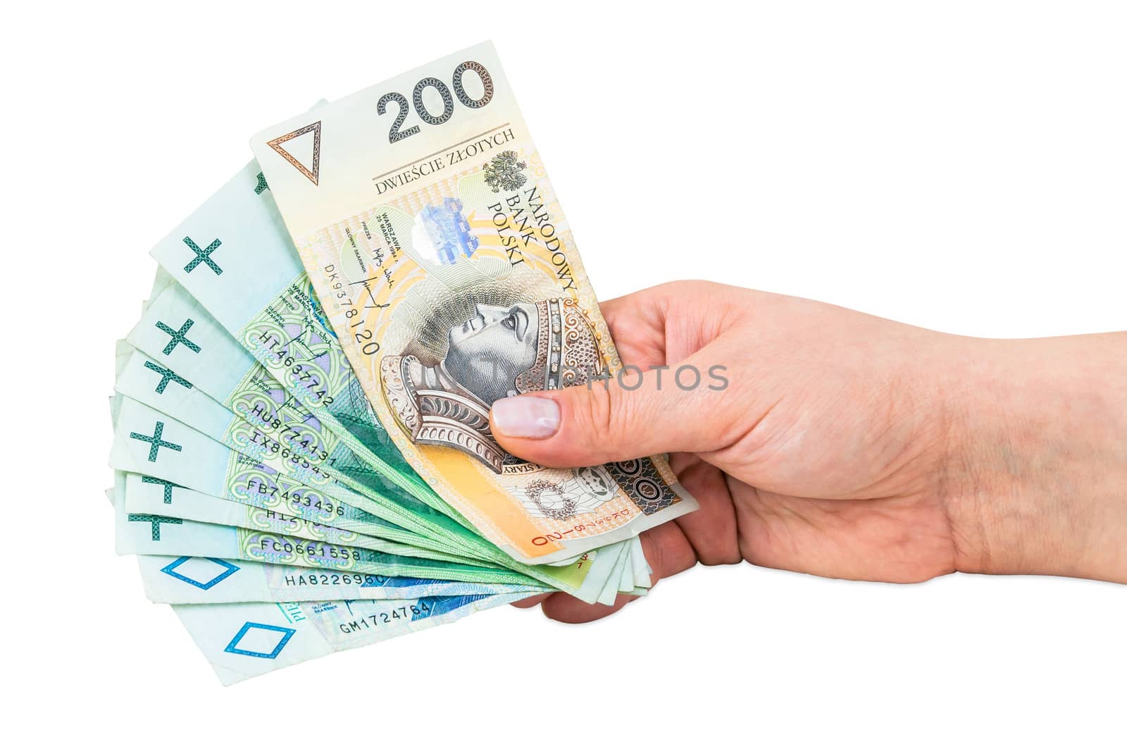Hand holding polish banknotes isolated on white background with clipping path