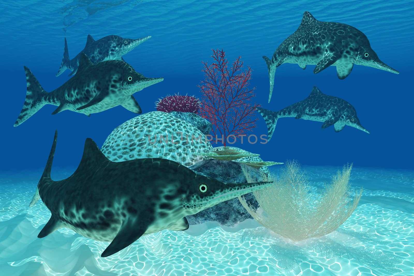 Ichthyosaurus was a large marine reptile carnivore from the Triassic and Jurassic Eras.