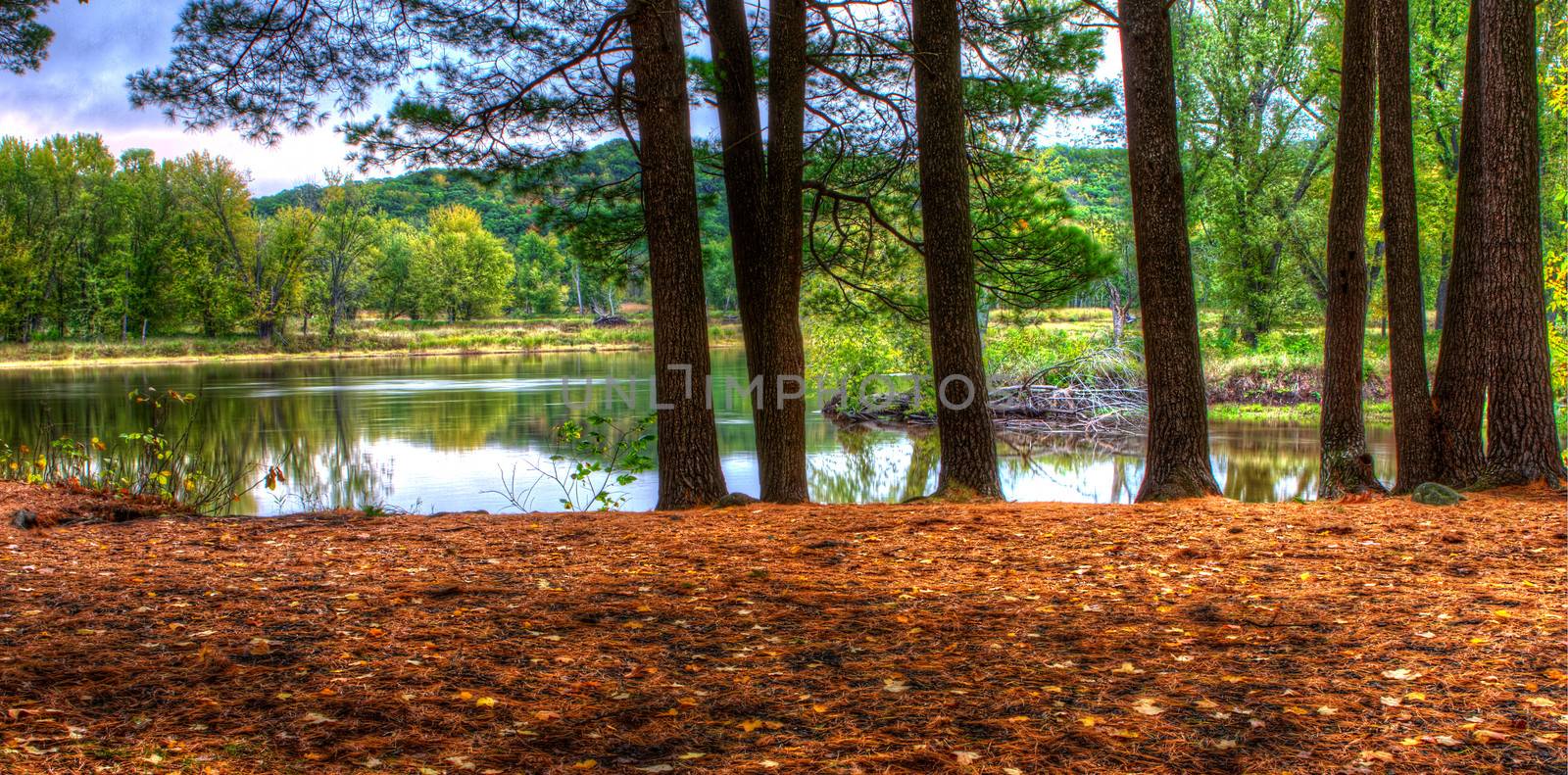 HDR landscape of a forest and pond
