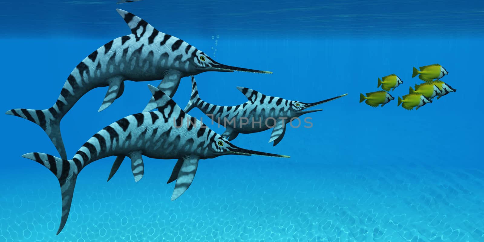 Eurhinosaurus was a fast swimming marine reptile Ichthyosaur from the Jurassic Era of Europe.