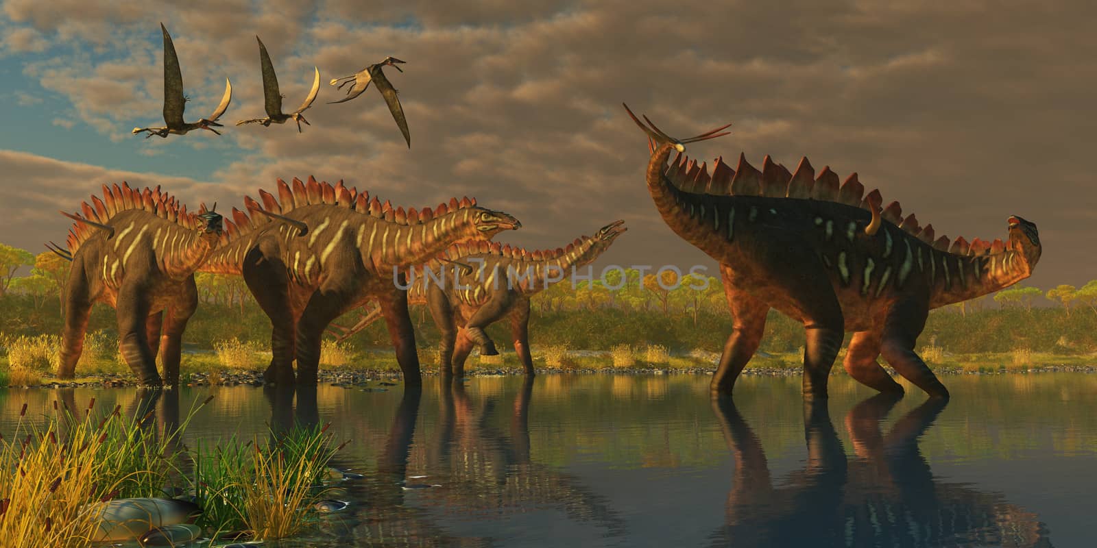 A Miragaia dinosaur bellows in protest as three others try to join him in marsh as three Dorygnathus pterosaurs fly over.