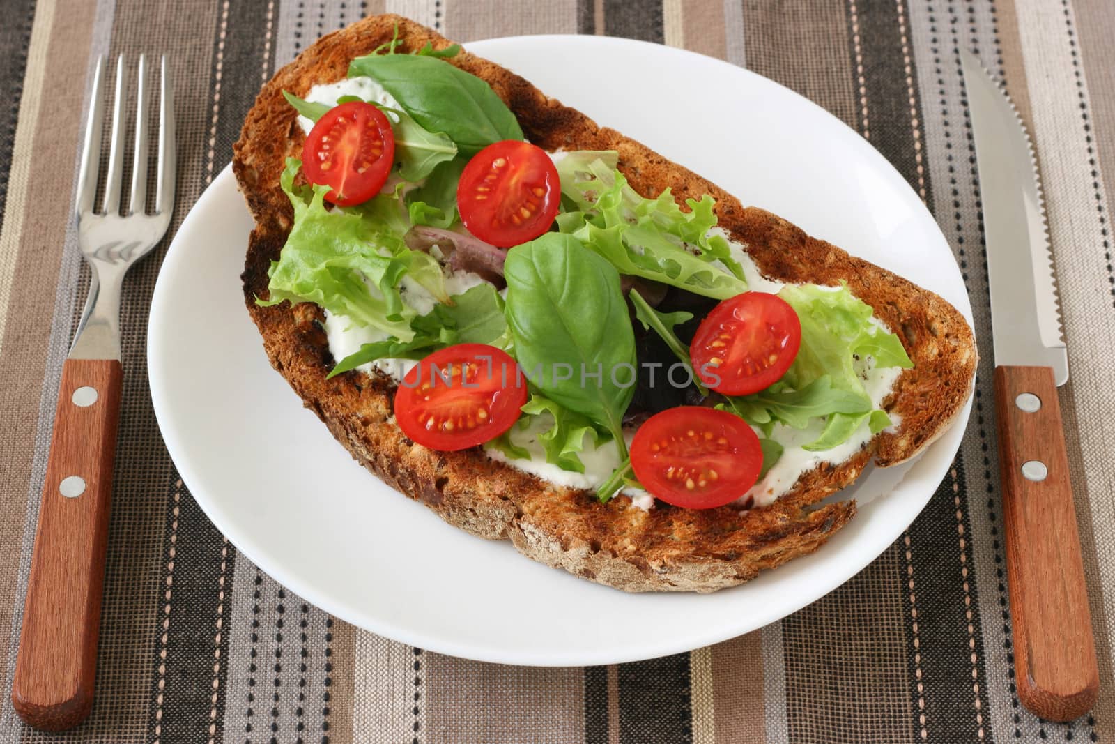 toast with cheese and tomato