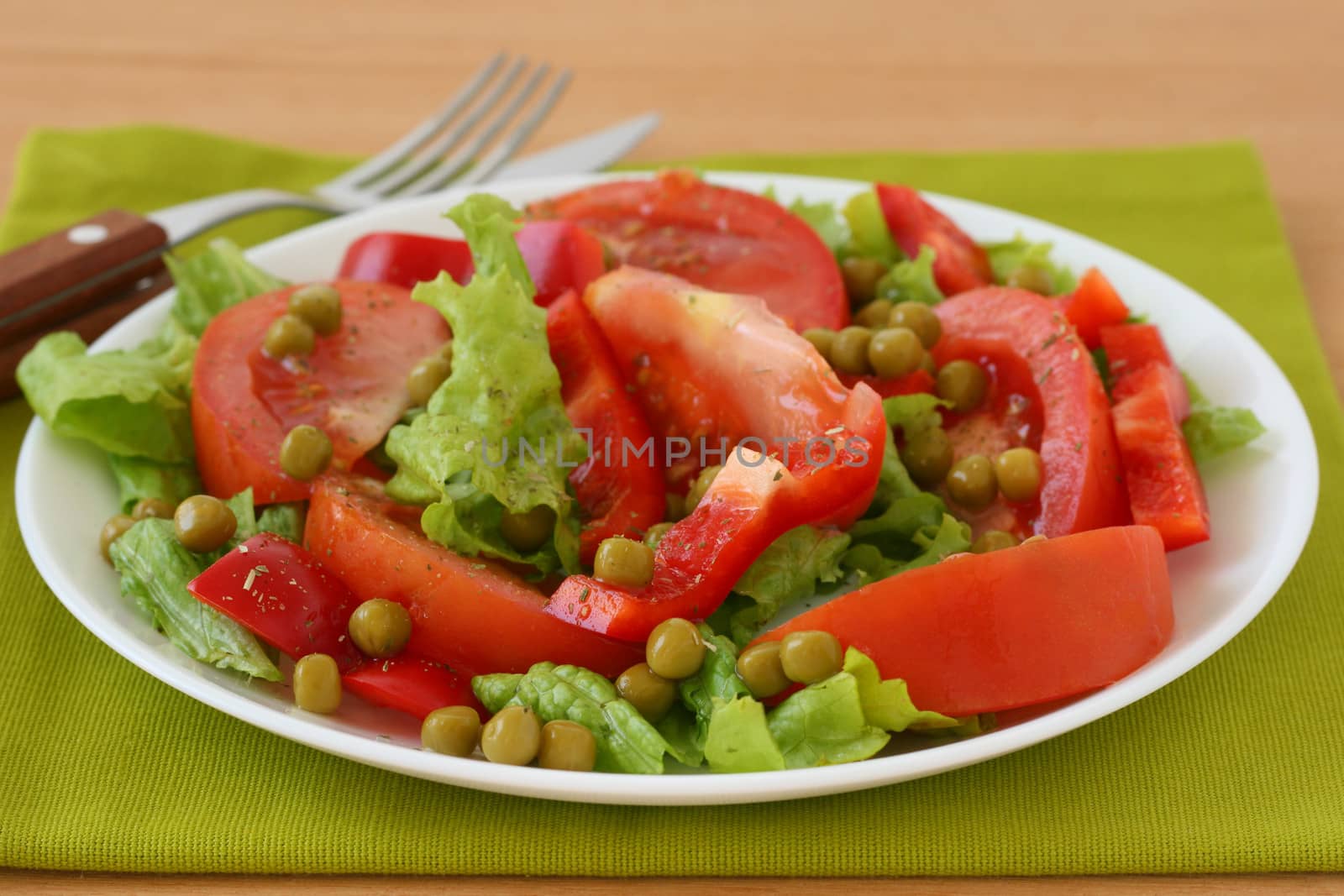 vegetable salad by nataliamylova