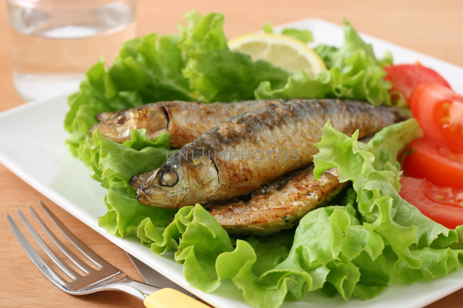 fried sardines and salad by nataliamylova