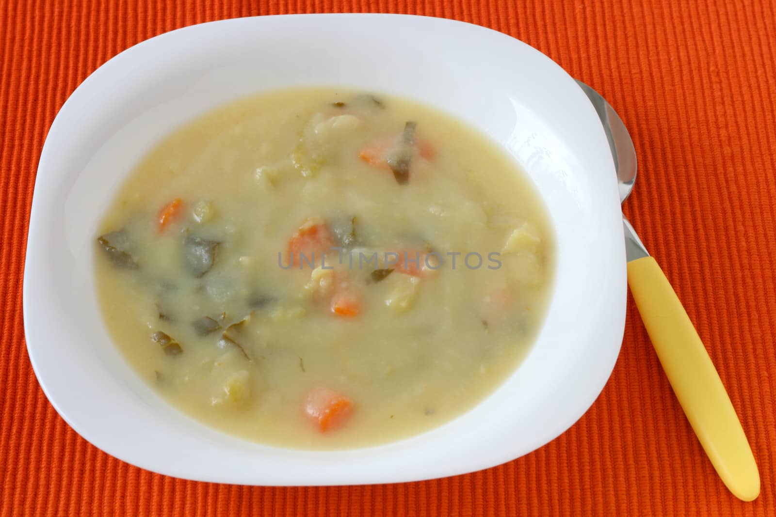vegetable soup in the plate