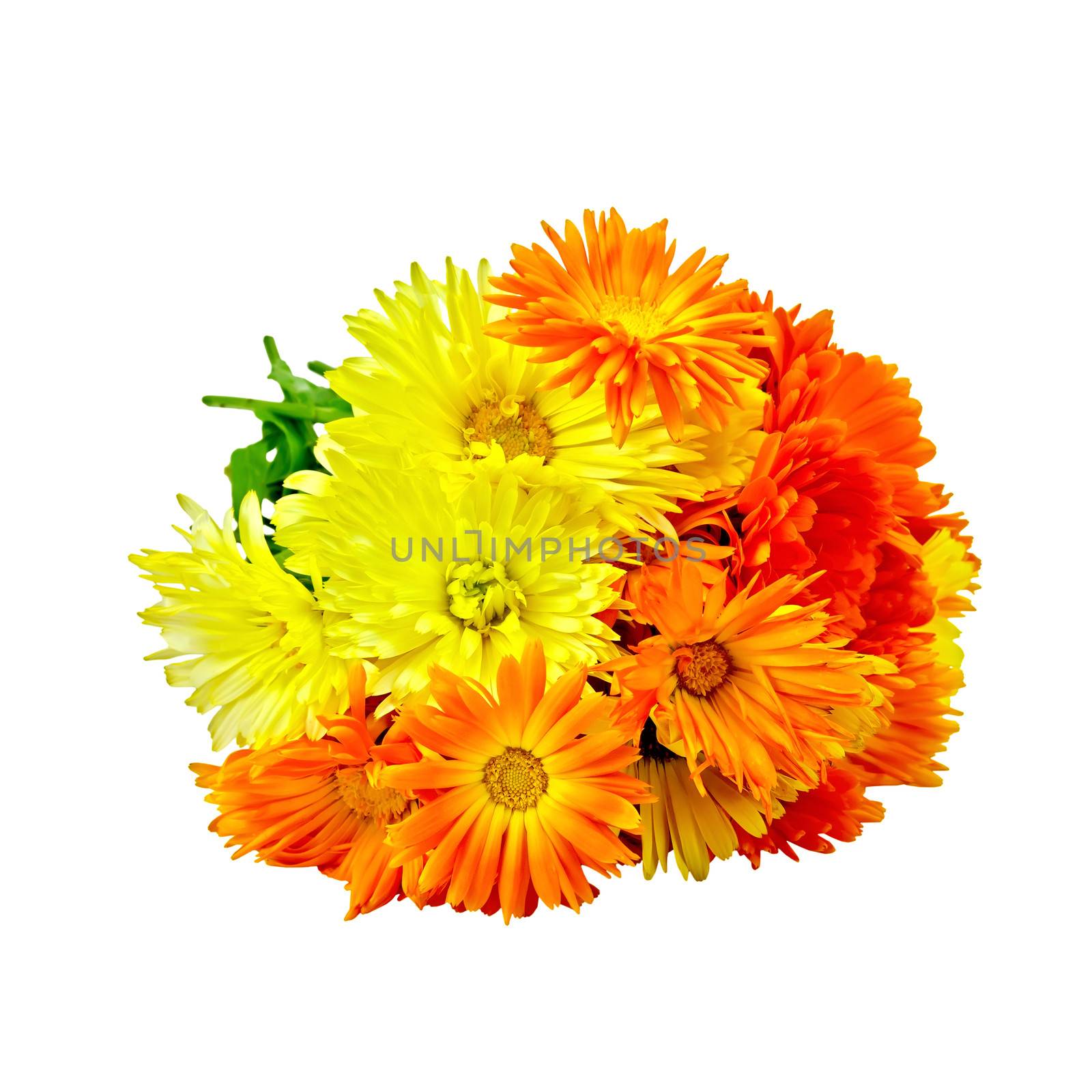 Bouquet of calendula flowers isolated on white background