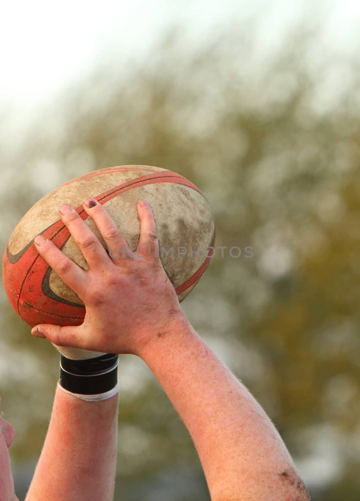 Hands holding a rugby ball