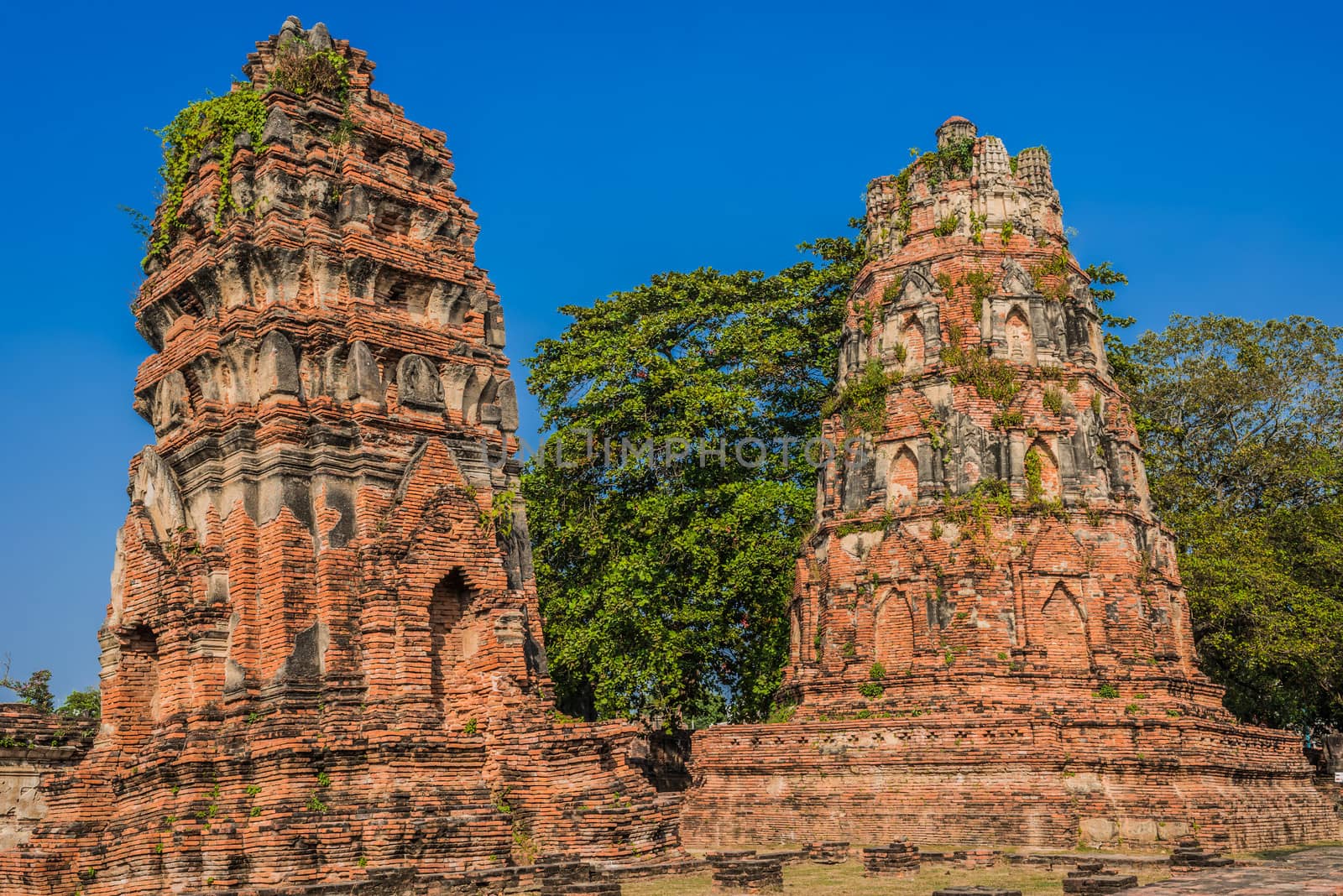 Wat Mahathat temple  ruins at Ayutthaya bangkok thailand