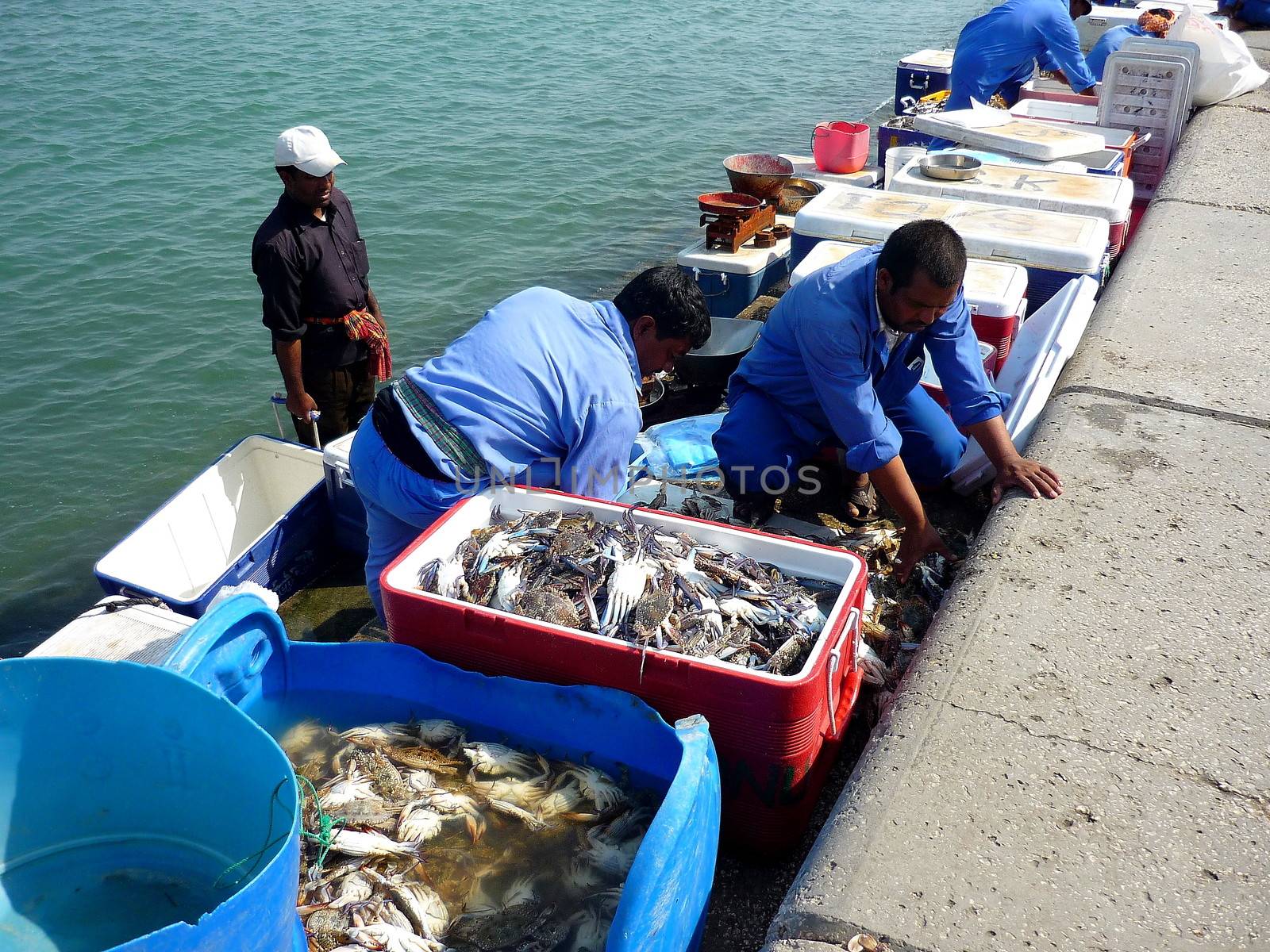 sale of fish in doha, qatar