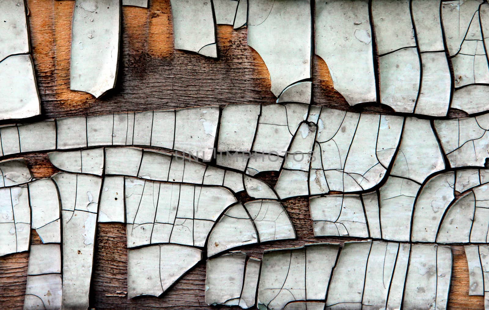 Old Wooden Plank with Weathered Paint Closeup