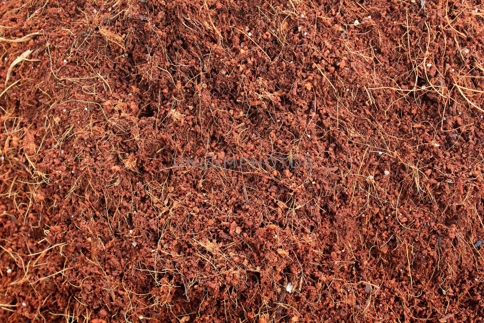Coconut fiber background